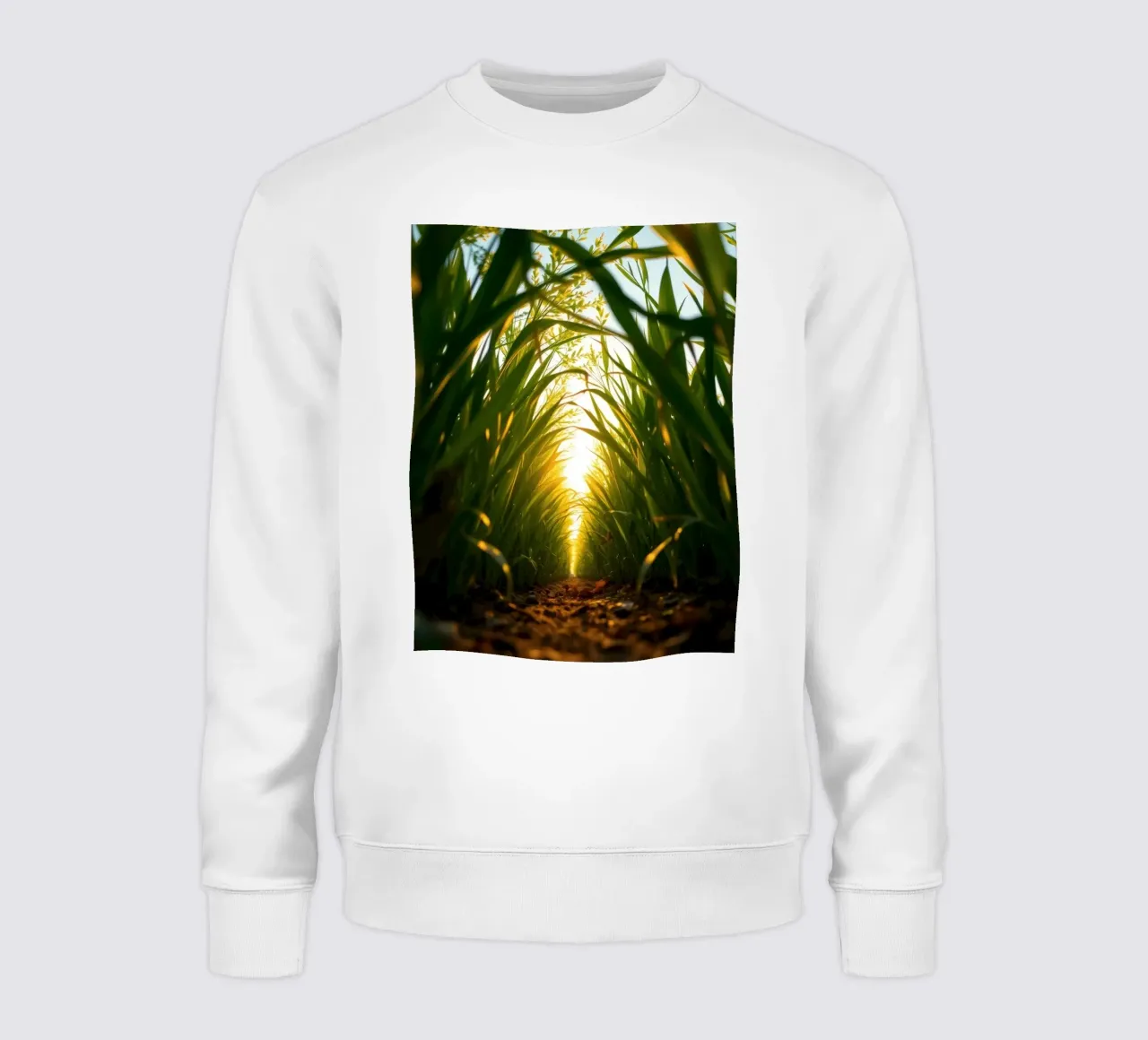 Sunlight filters through tall grass in a calm field sweatshirt by DesignDoodle