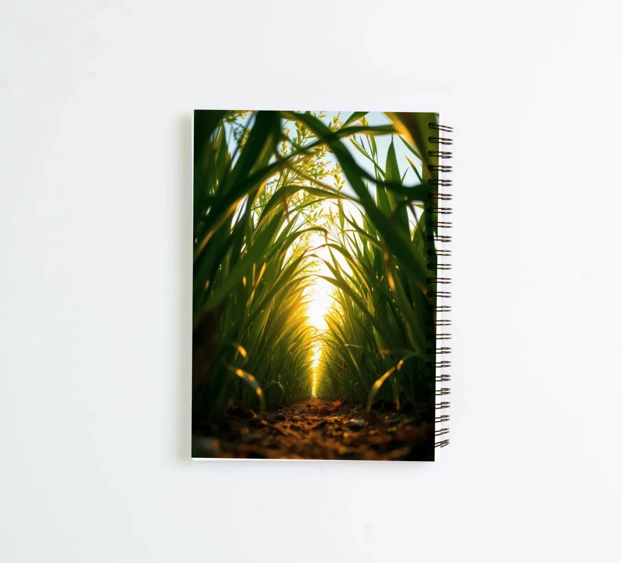 Sunlight filters through tall grass in a calm field spiral notebook by DesignDoodle