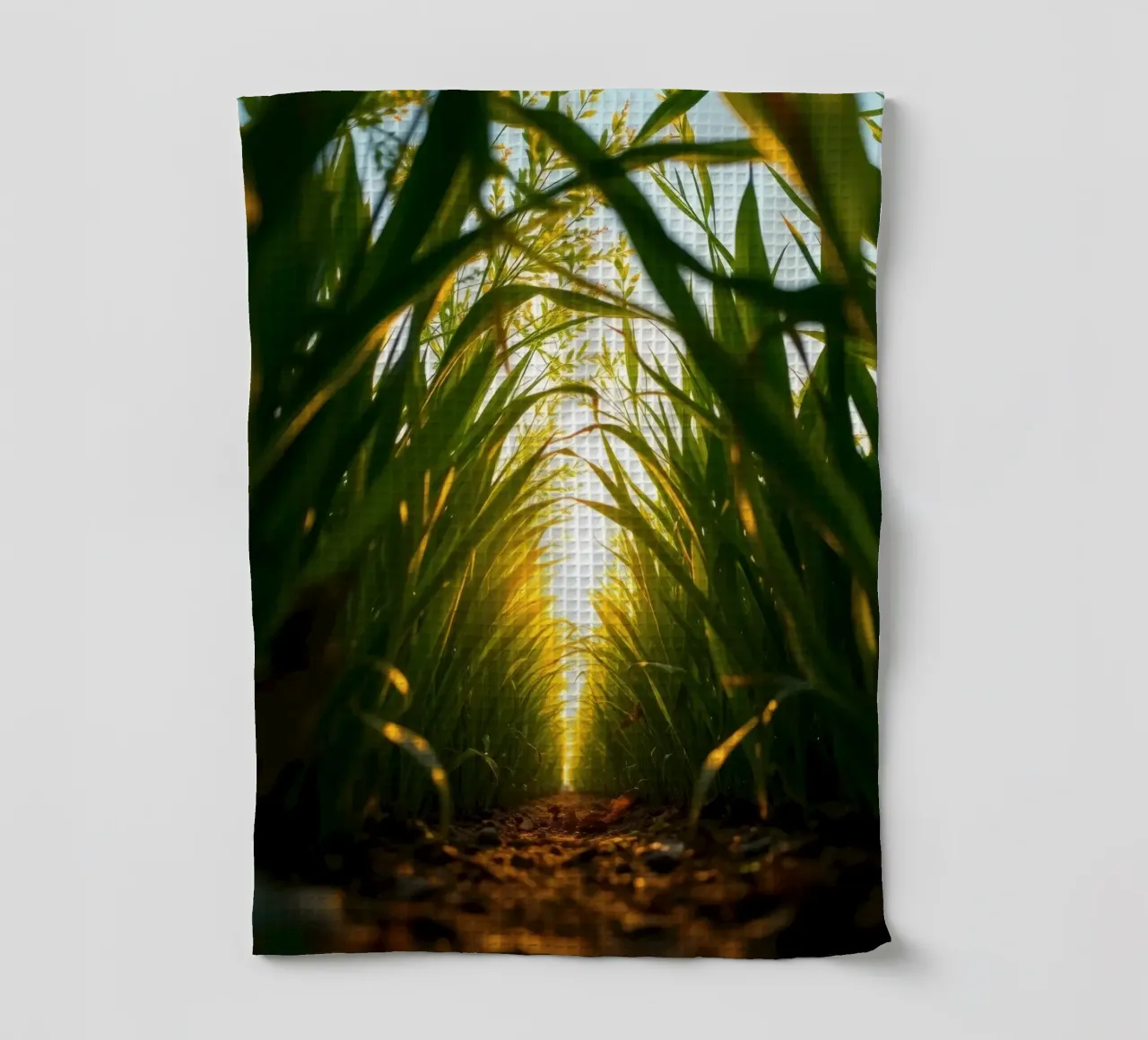 Sunlight filters through tall grass in a calm field tea towel by DesignDoodle