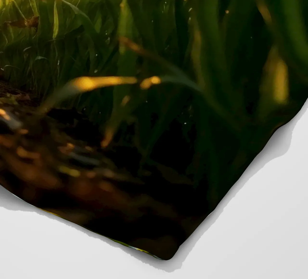 Sunlight filters through tall grass in a calm field fleece blanket by DesignDoodle