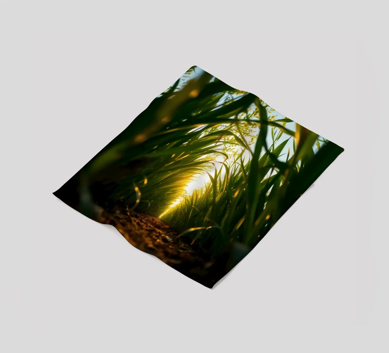 Sunlight filters through tall grass in a calm field fleece blanket by DesignDoodle