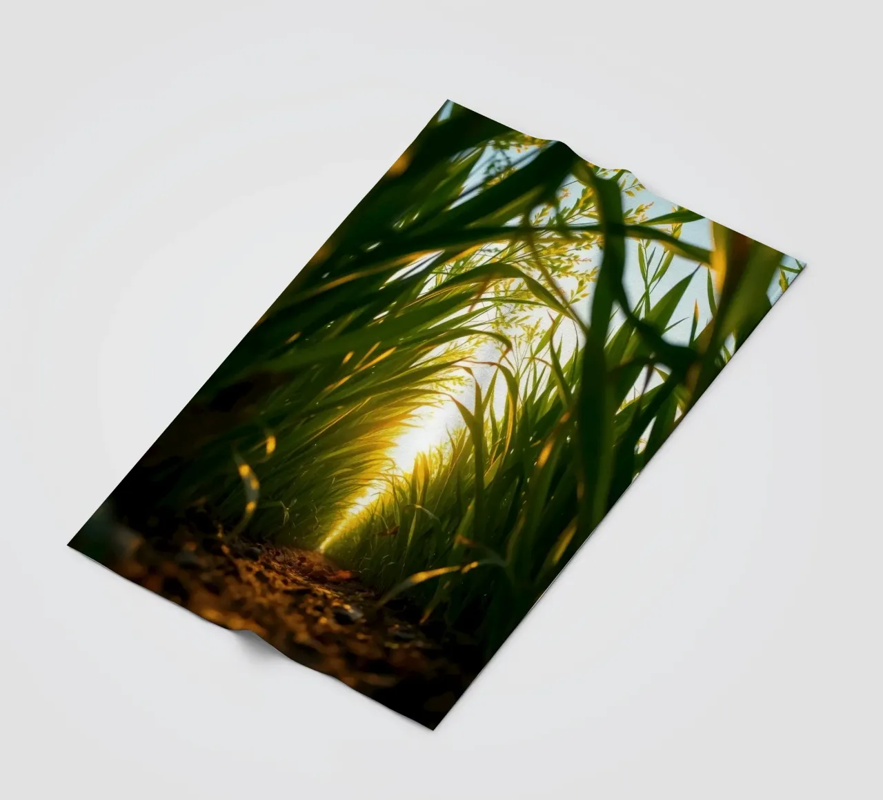 Sunlight filters through tall grass in a calm field fleece blanket by DesignDoodle