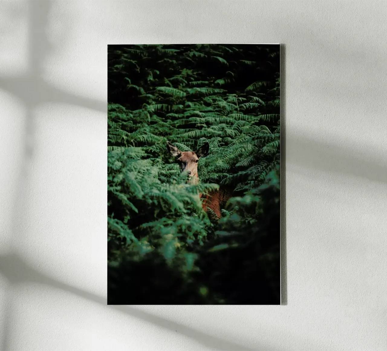 A Moment Of Recognition @Andyvalver canvas by EyeEm Mobile GmbH