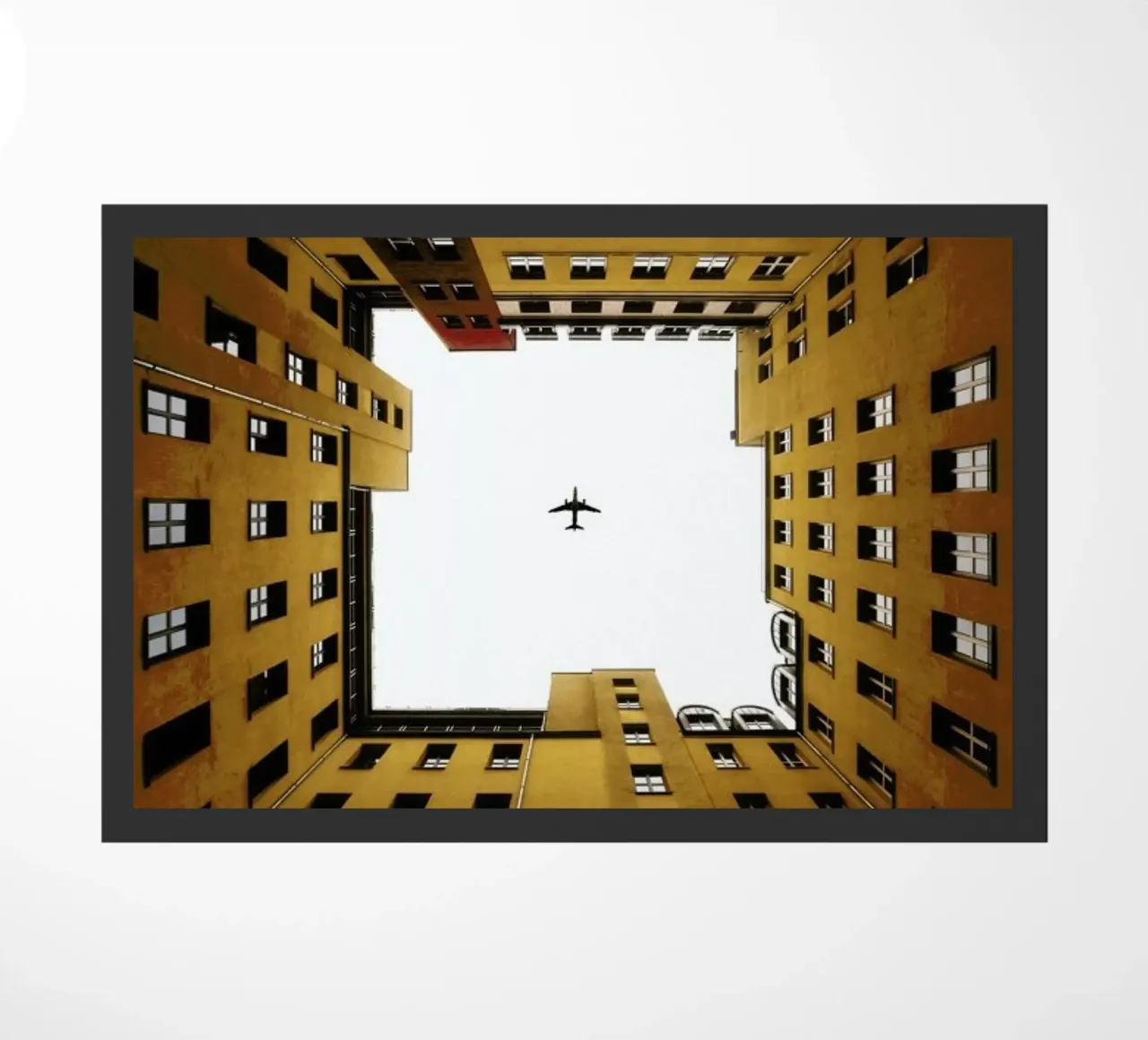 Look Up zerbino da METROPOLIS