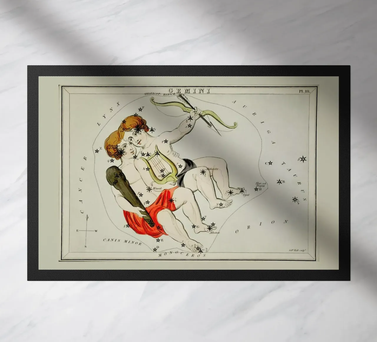 Gemini zerbino da Vintage by JUNIQE