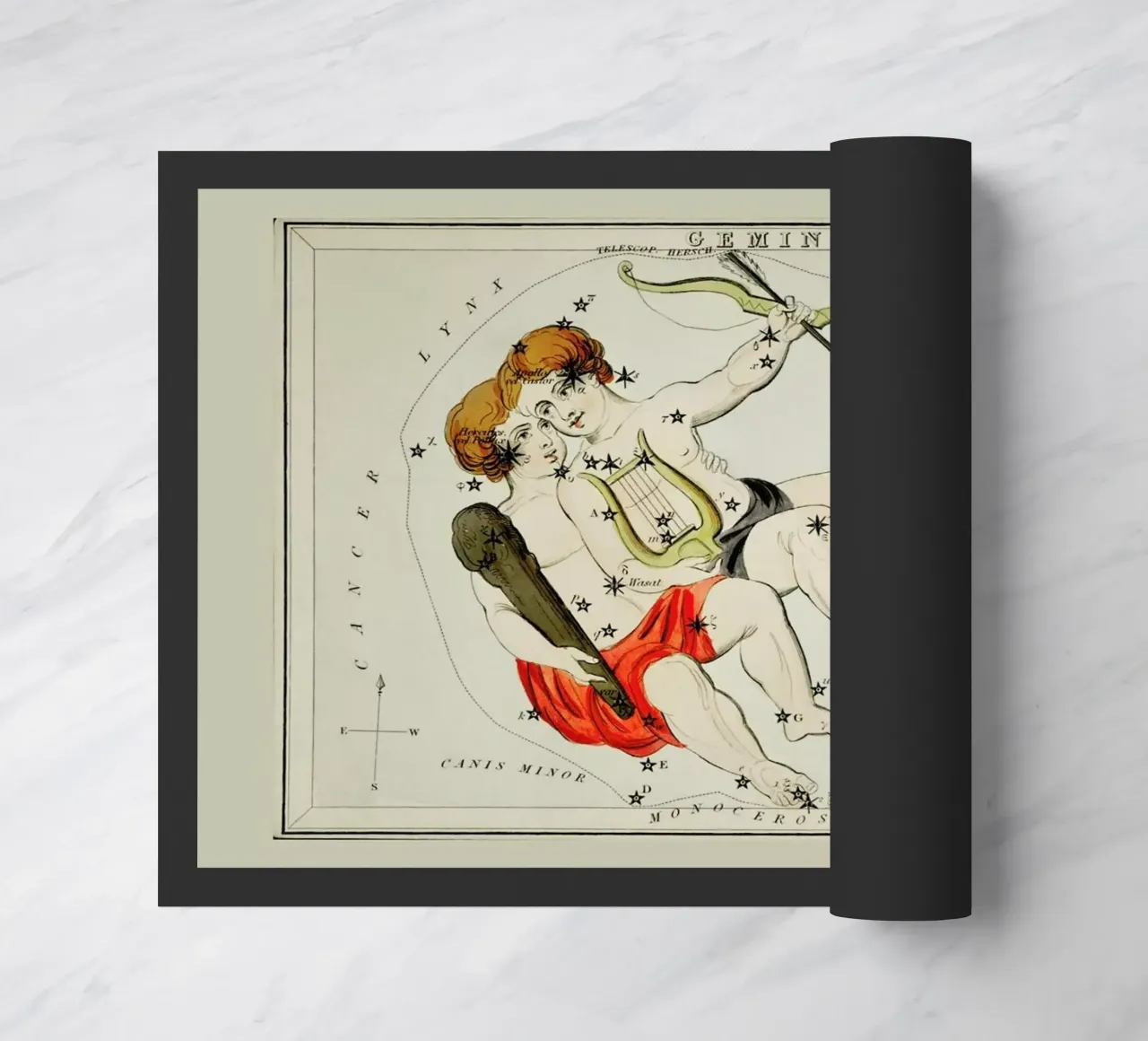 Gemini zerbino da Vintage by JUNIQE