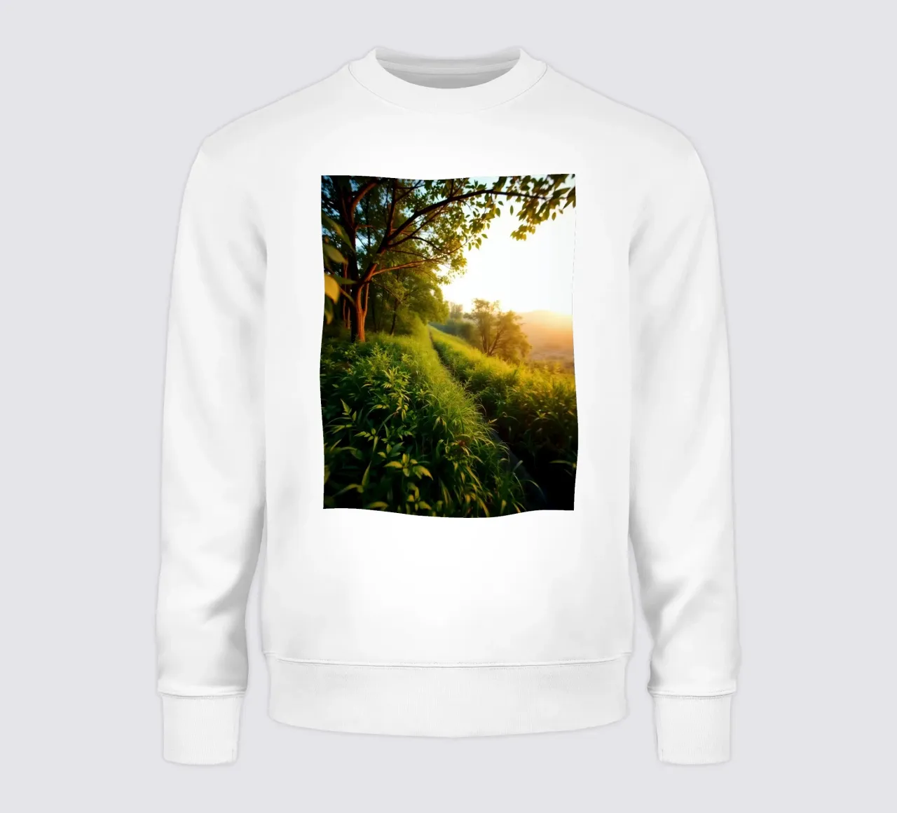Sérénité d'une promenade au coucher du soleil à travers la verdure luxuriante le long d'un vent sweat de DesignDoodle