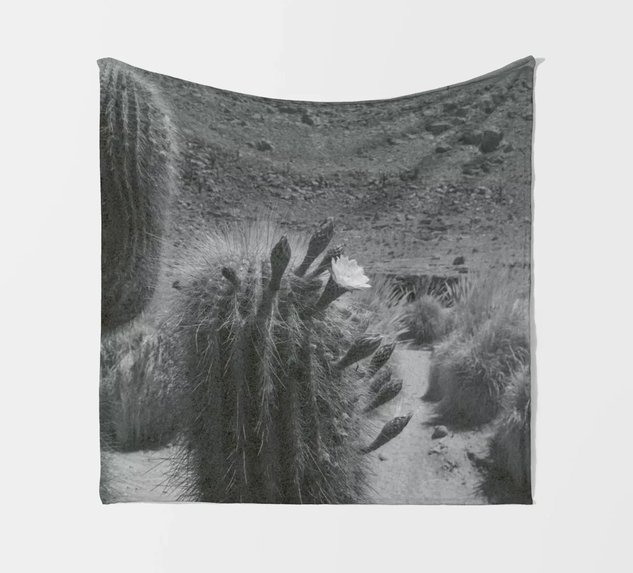 Atacama coperta in pile da Chris Abatzis