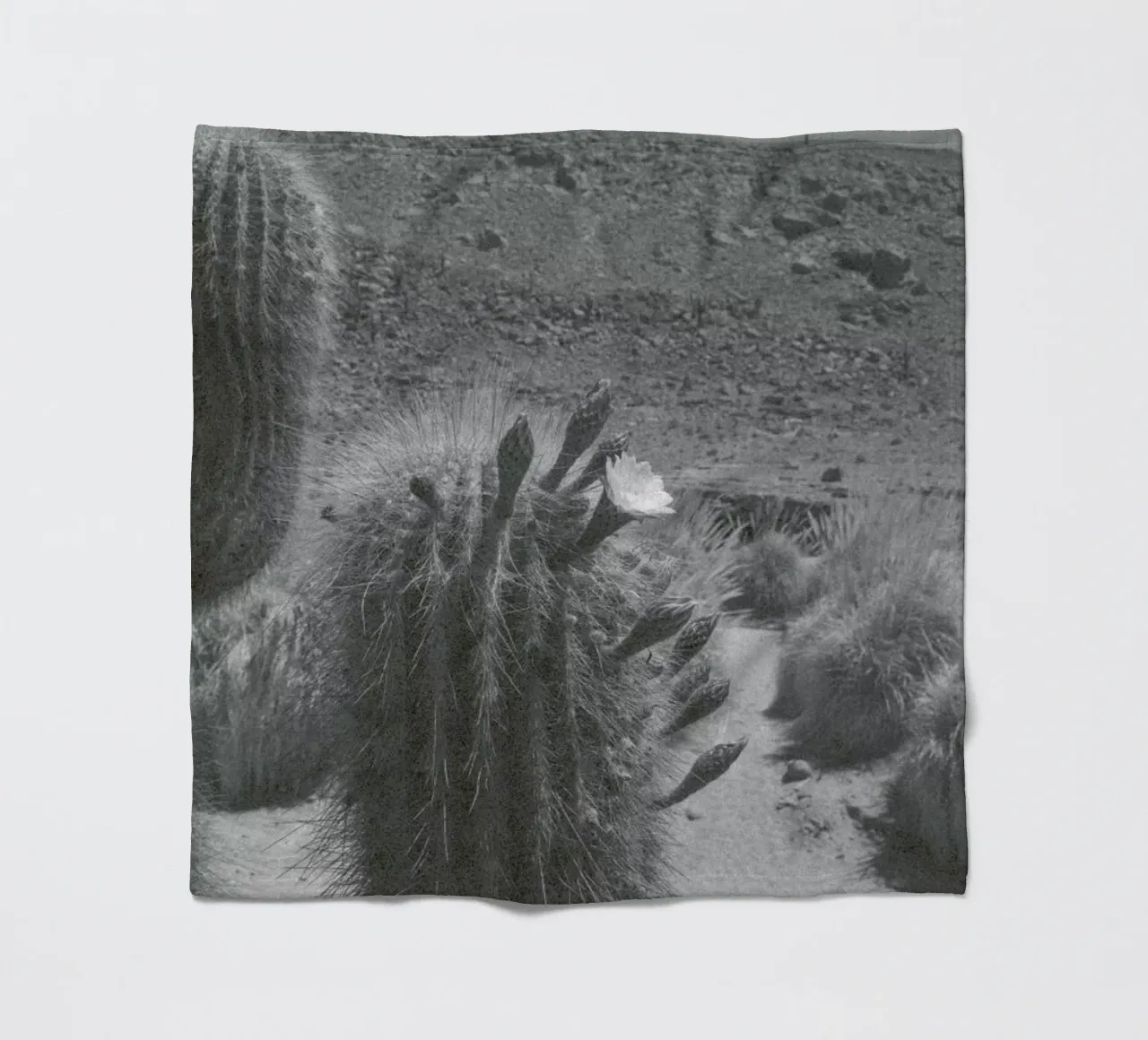 Atacama coperta in pile da Chris Abatzis