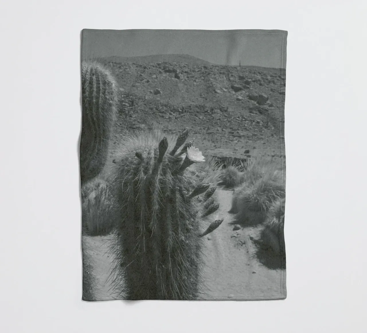 Atacama coperta in pile da Chris Abatzis
