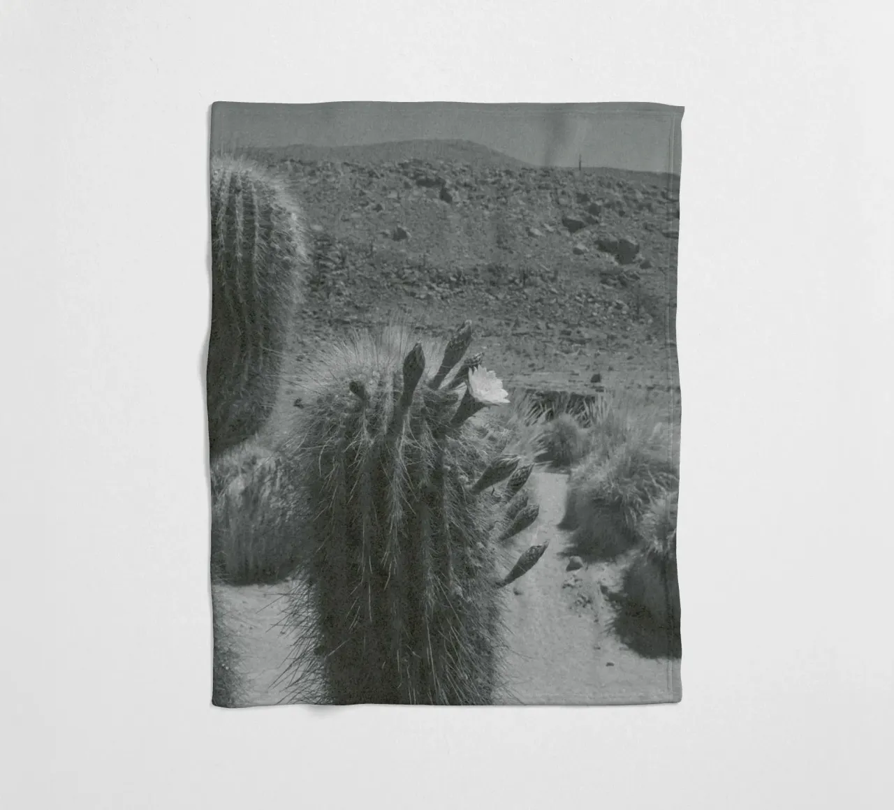 Atacama coperta in pile da Chris Abatzis