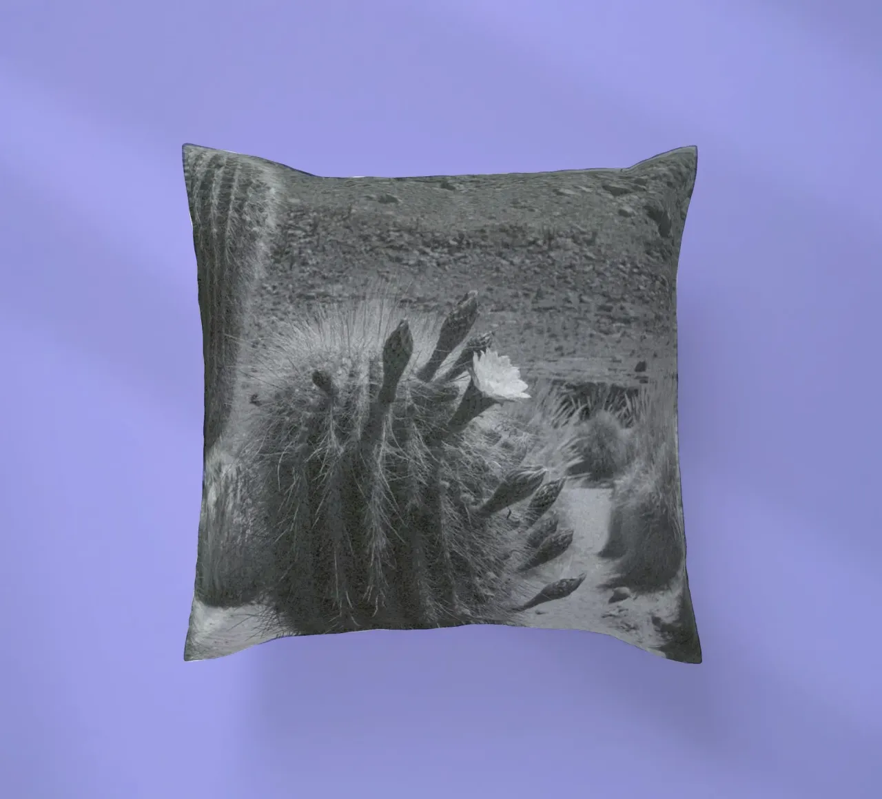 Atacama cuscino da Chris Abatzis