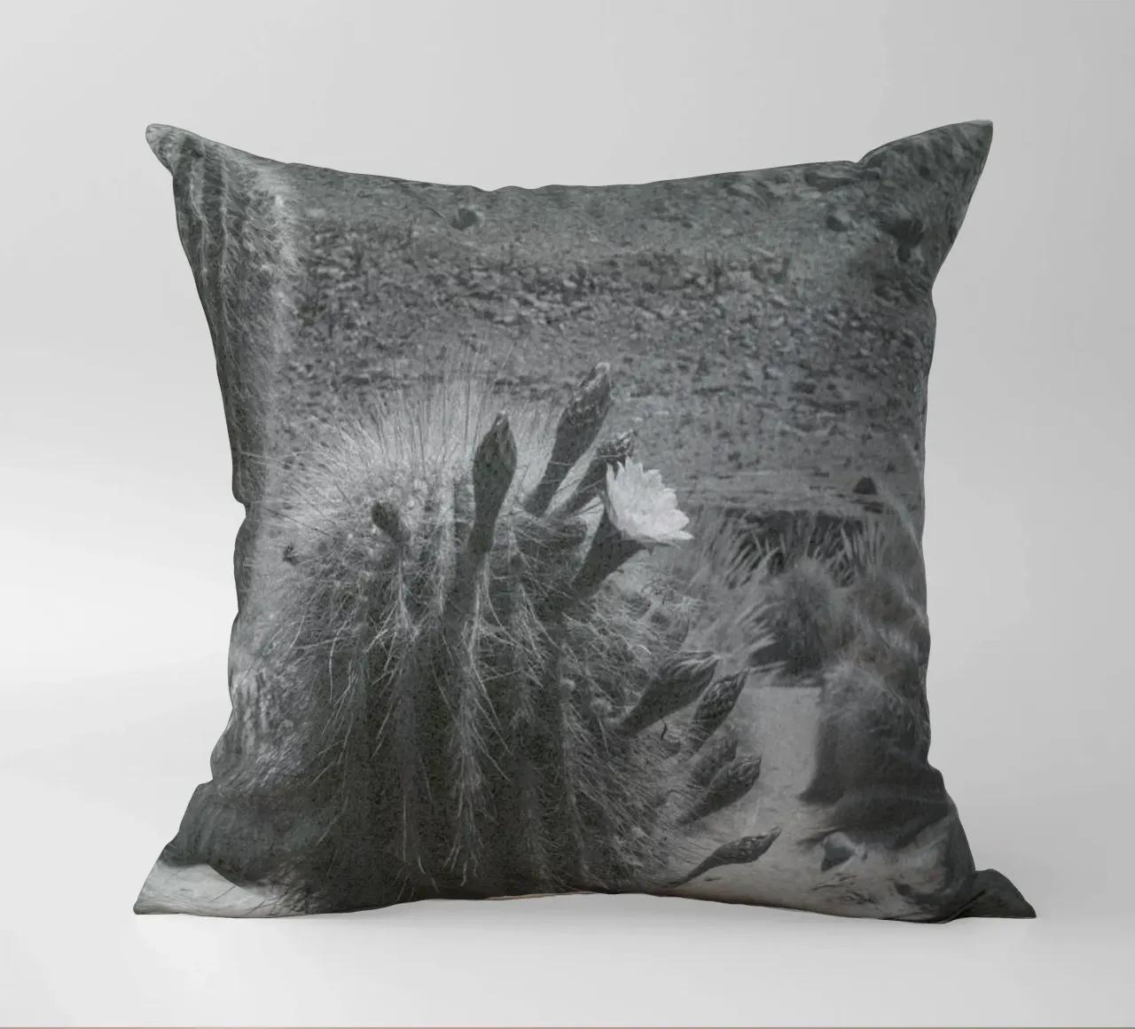 Atacama cuscino da Chris Abatzis