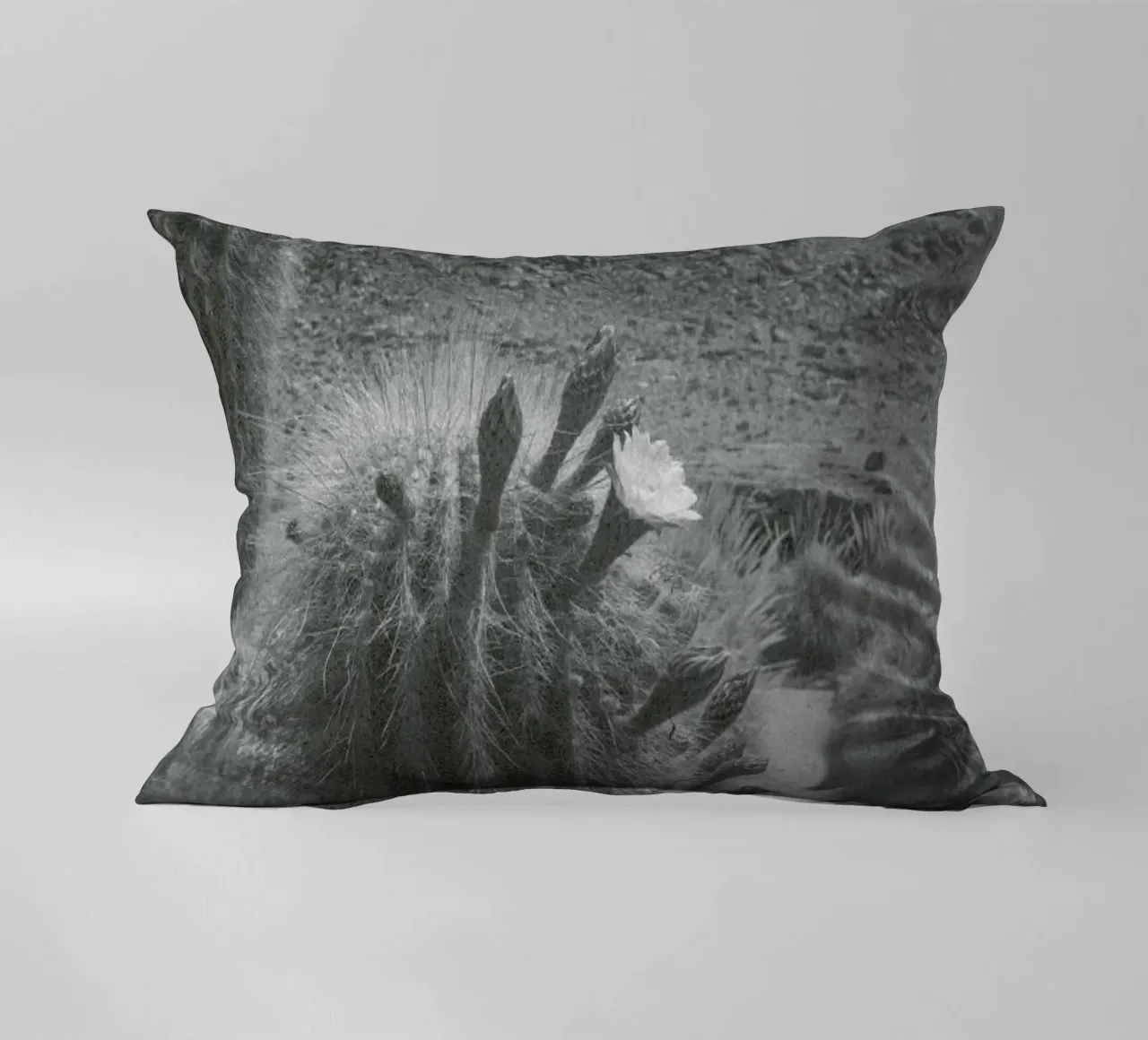 Atacama cuscino da Chris Abatzis