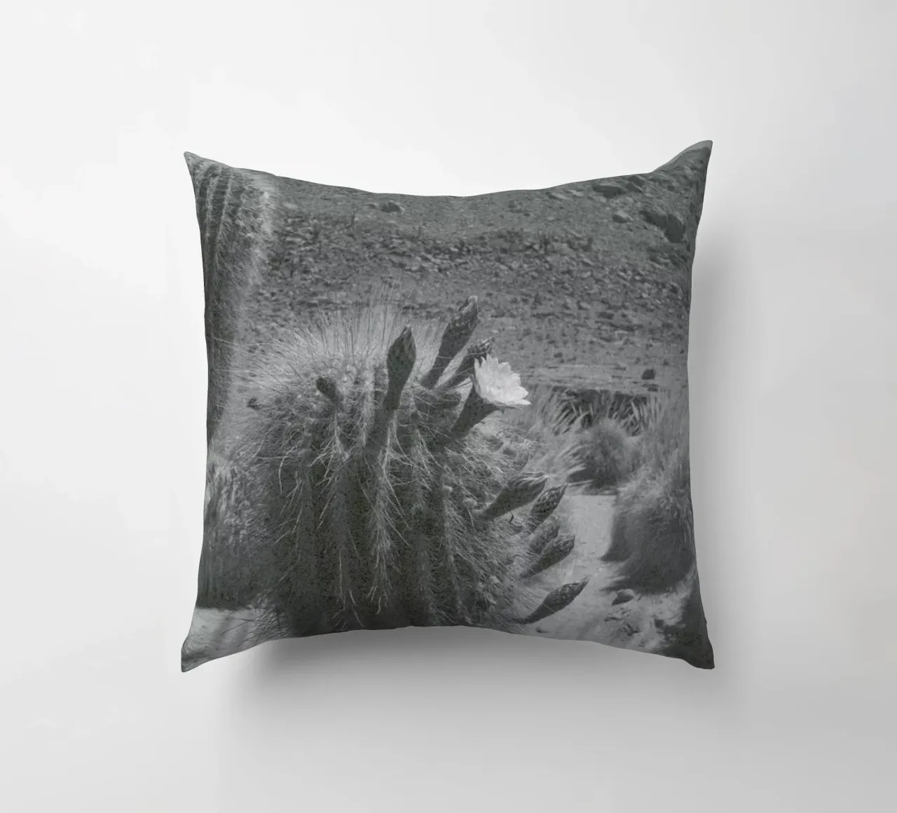 Atacama cuscino da Chris Abatzis