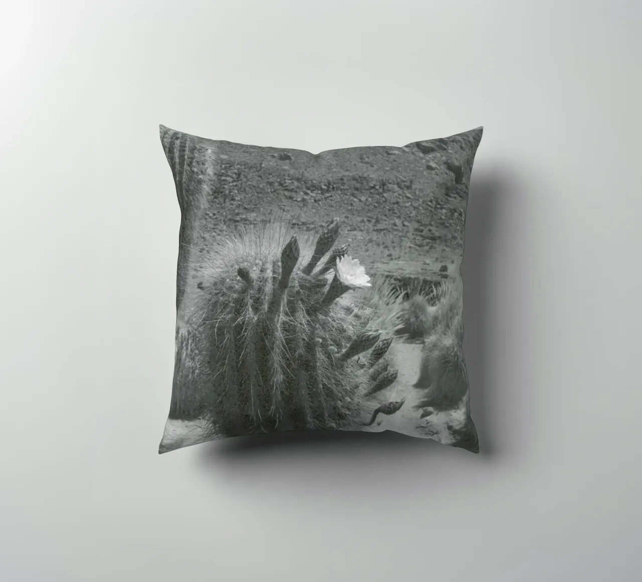 Atacama cuscino da Chris Abatzis