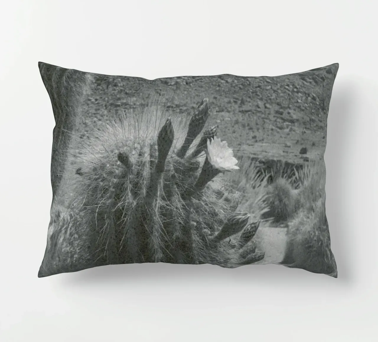 Atacama cuscino da Chris Abatzis
