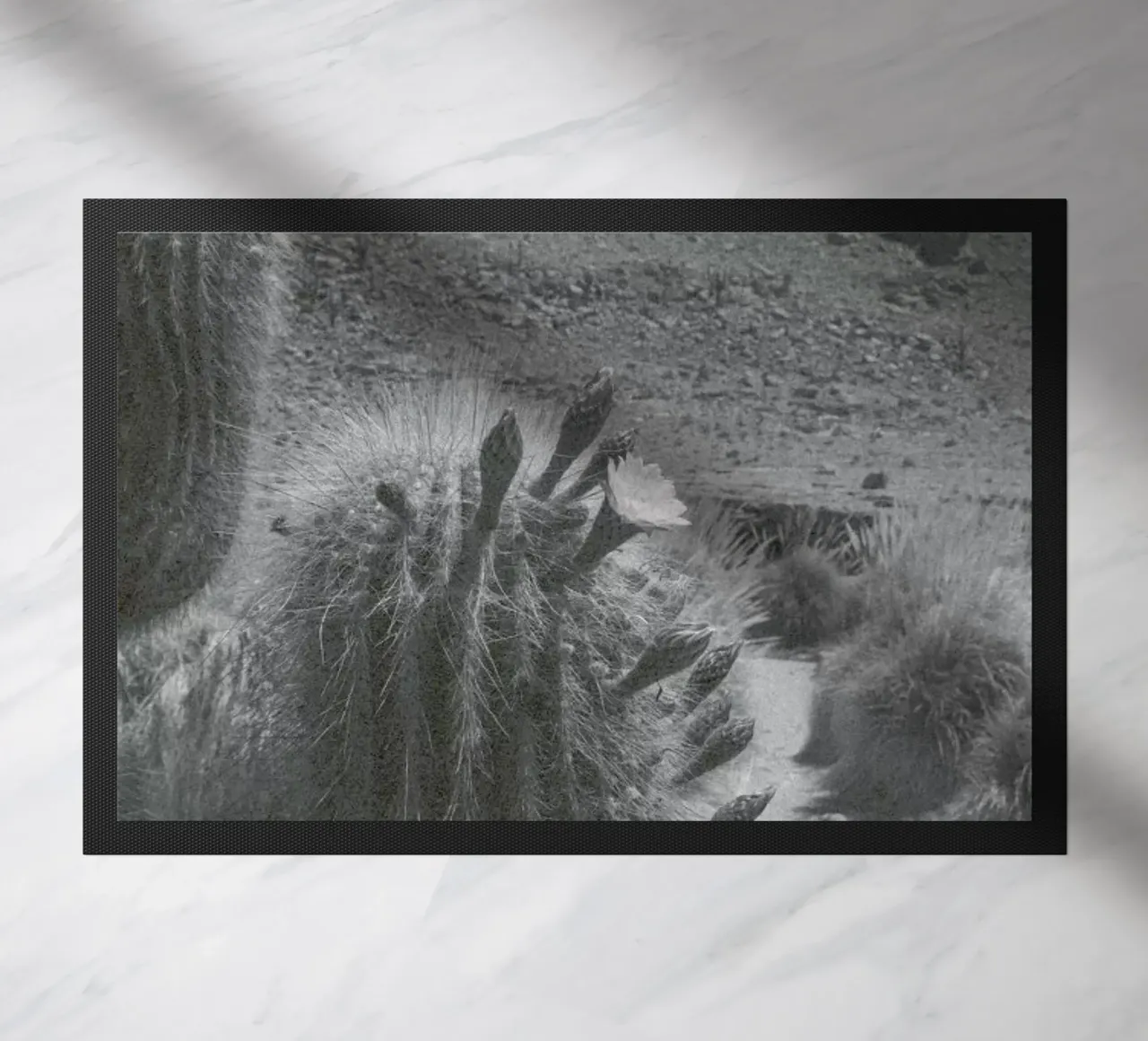 Atacama zerbino da Chris Abatzis