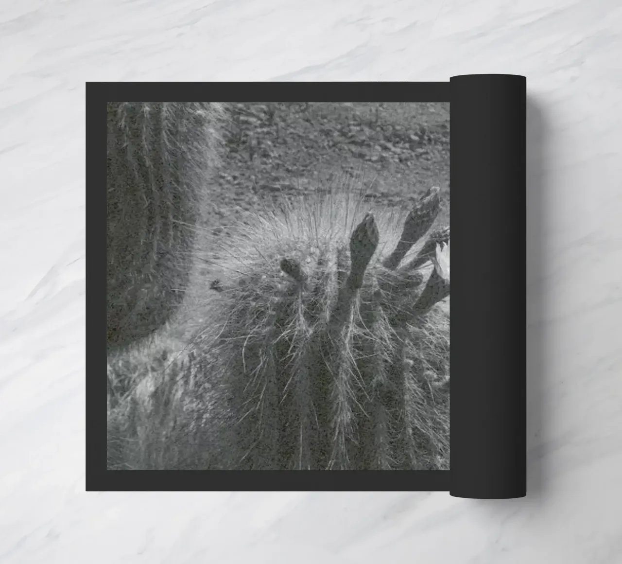 Atacama zerbino da Chris Abatzis