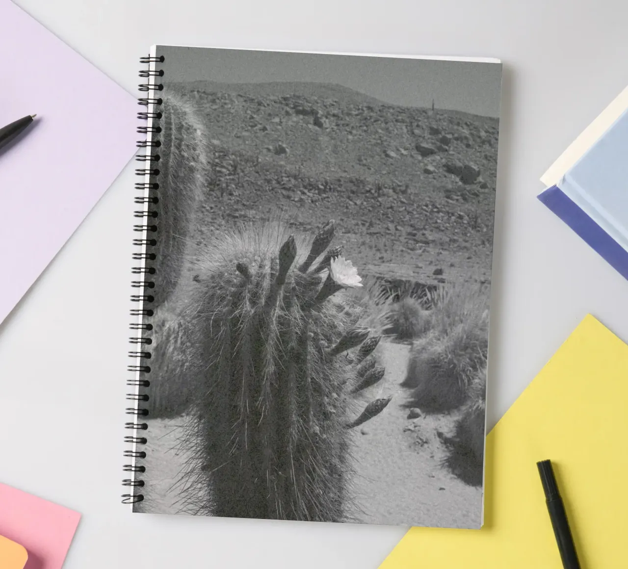 Atacama spiral notebook by Chris Abatzis