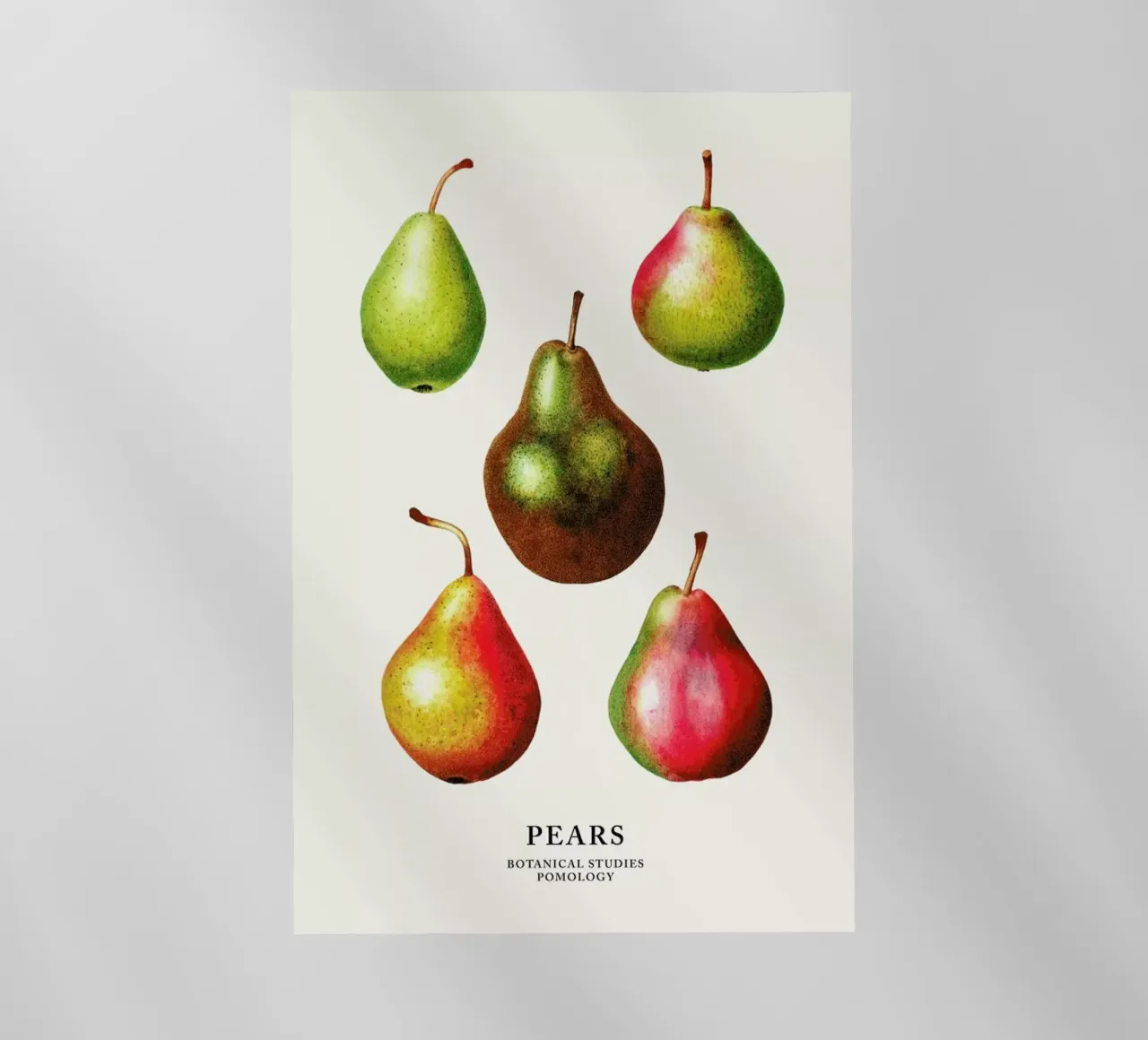 Pears pellicola backlit da Flora & Fauna