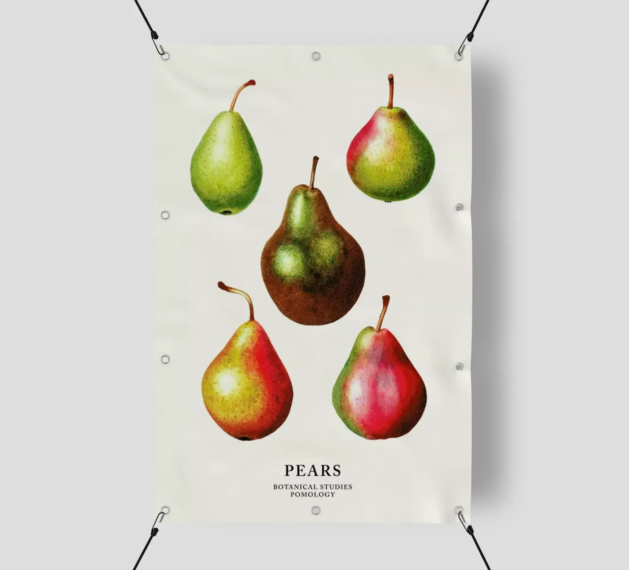 Pears telo in pvc da Flora & Fauna