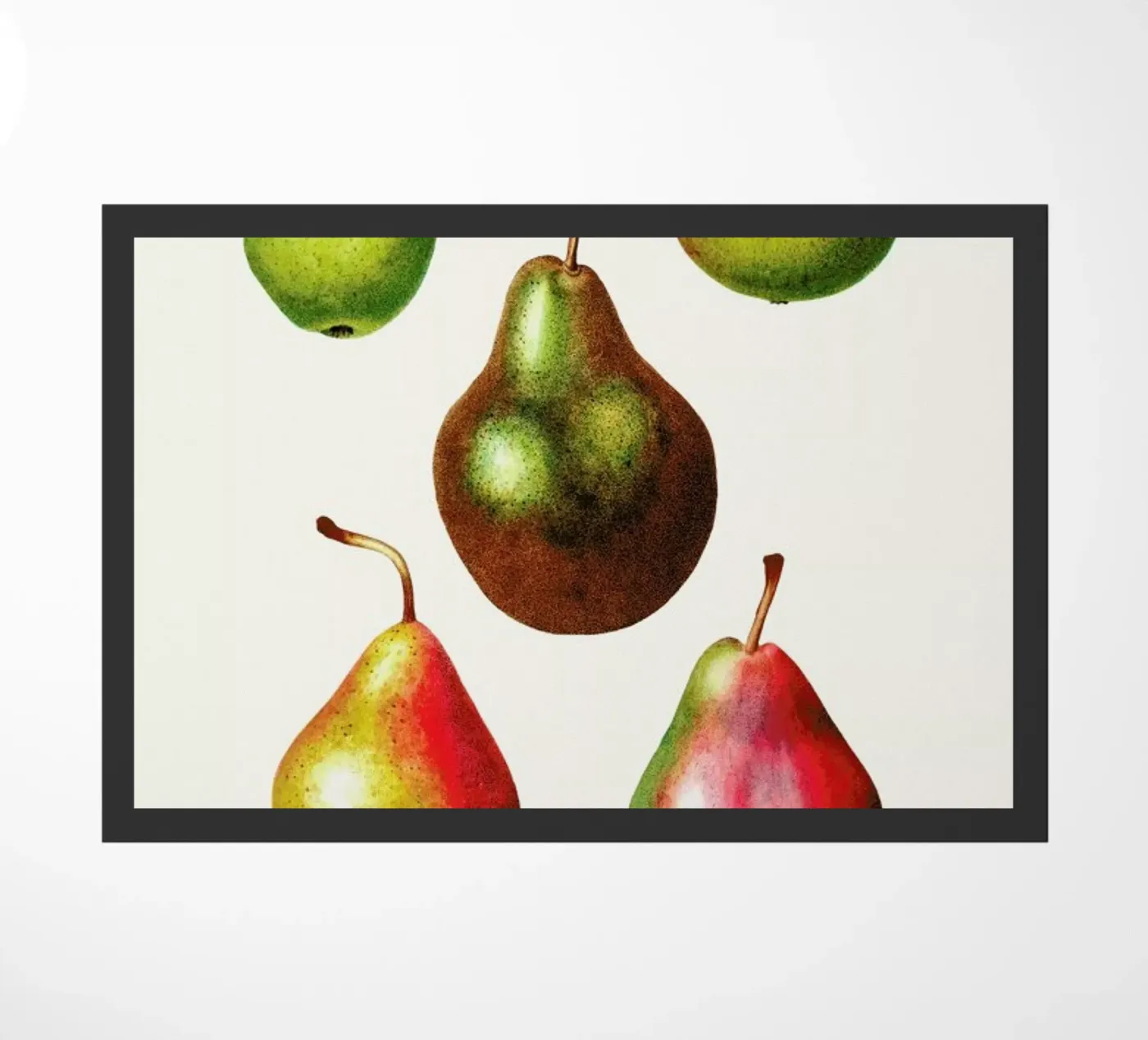 Pears paillasson de Flora & Fauna