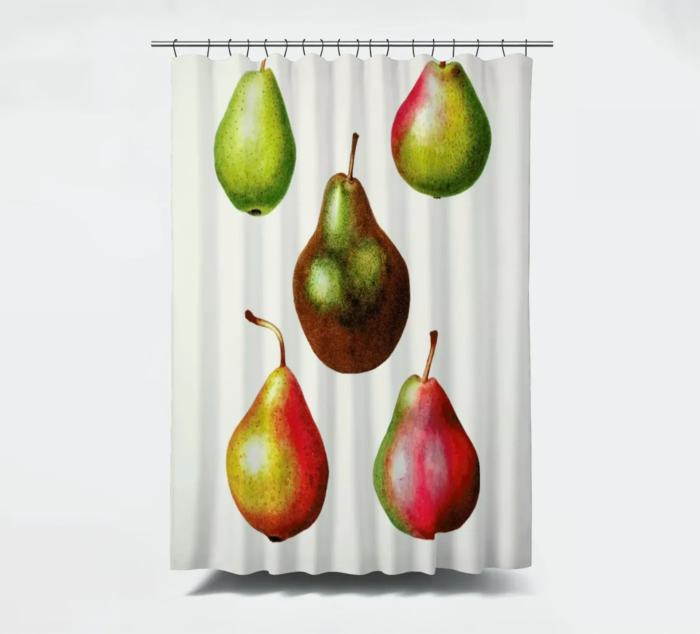 Pears shower curtain by Flora & Fauna
