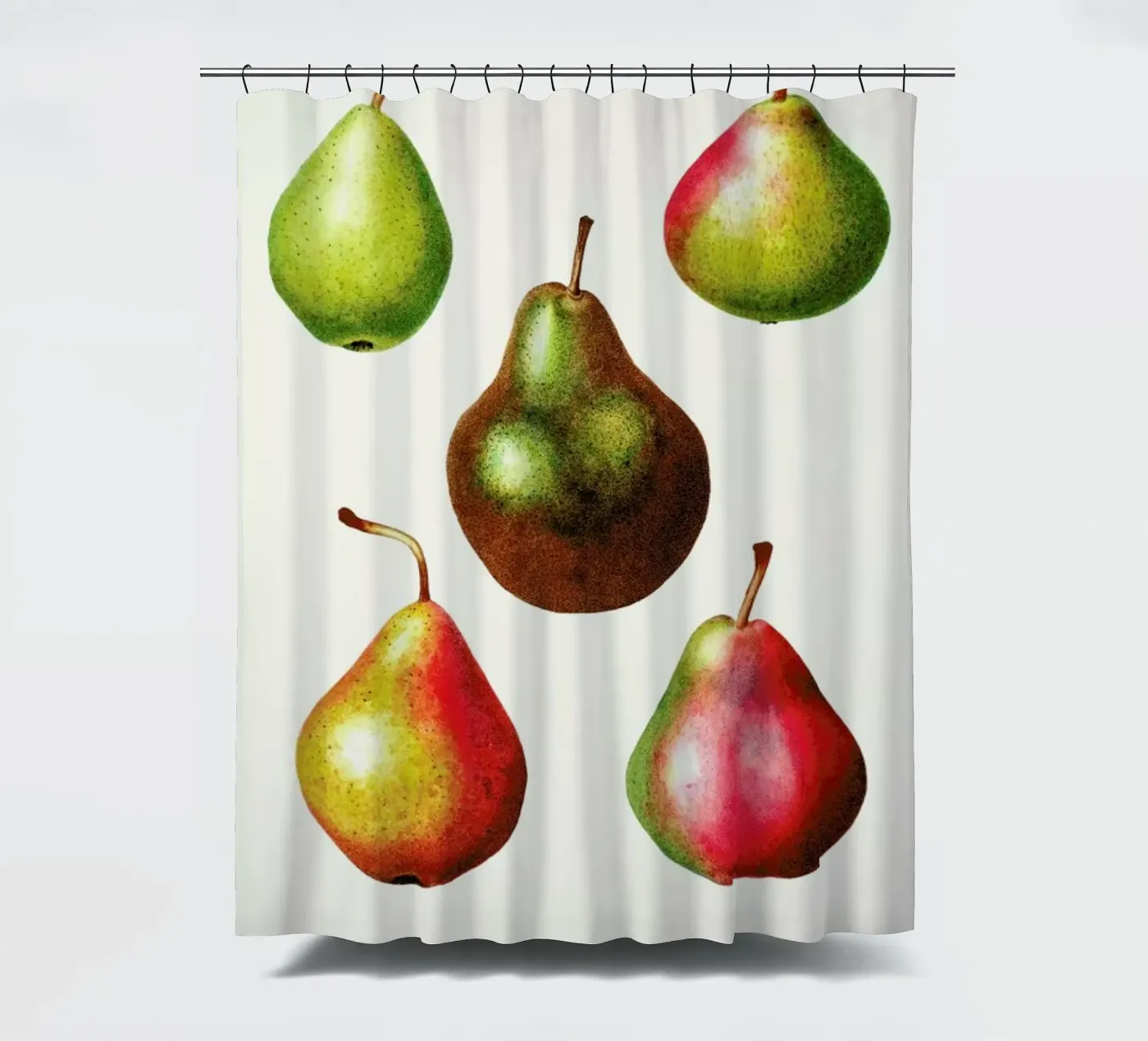 Pears Duschvorhang von Flora & Fauna