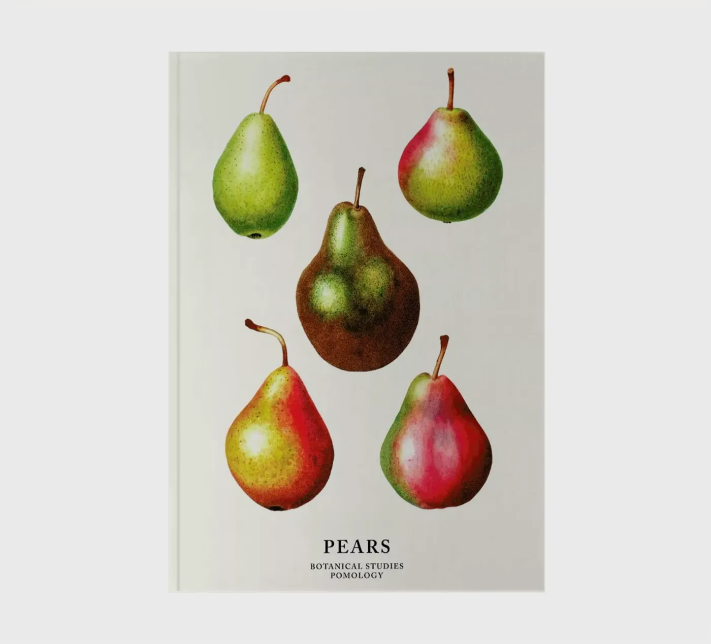 Pears notebook by Flora & Fauna