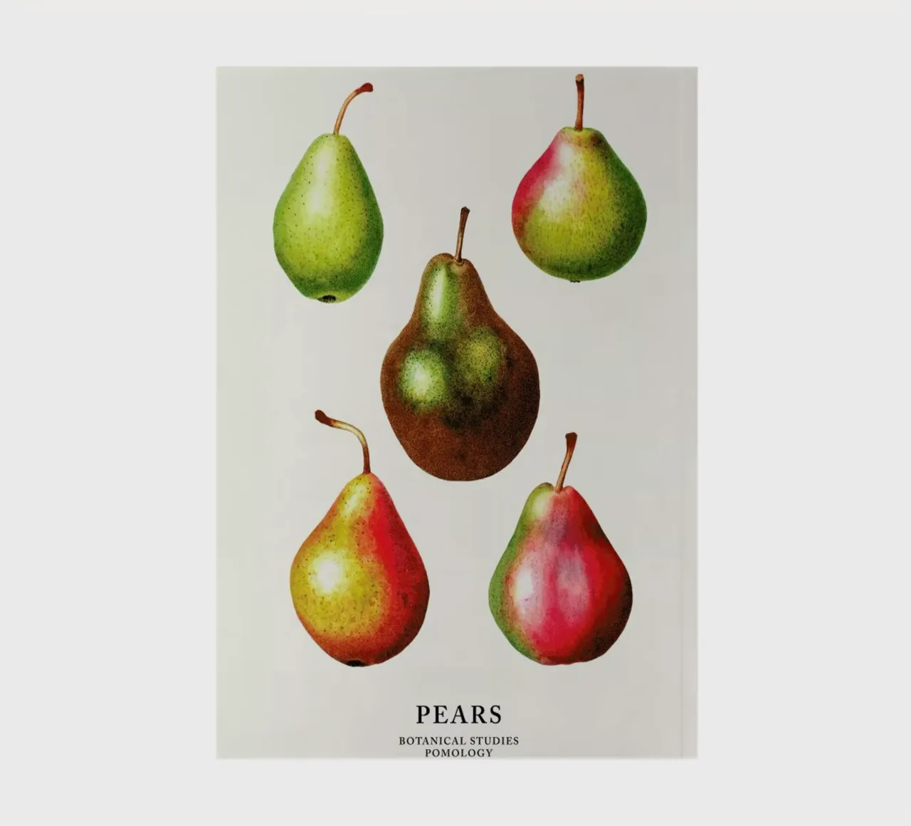 Pears carnet de notes de Flora & Fauna