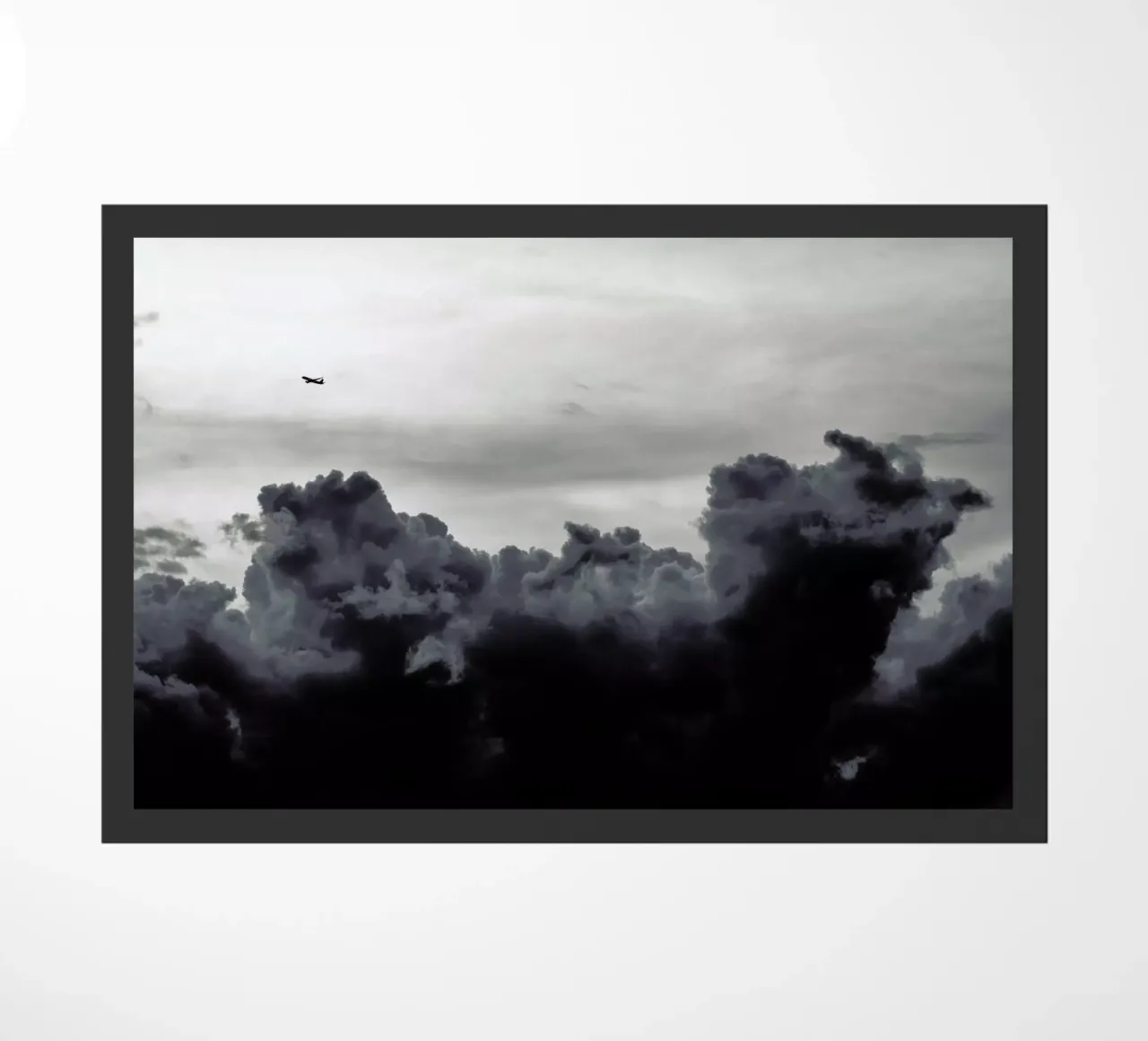 Over The Storm zerbino da Tal Paz-Fridman