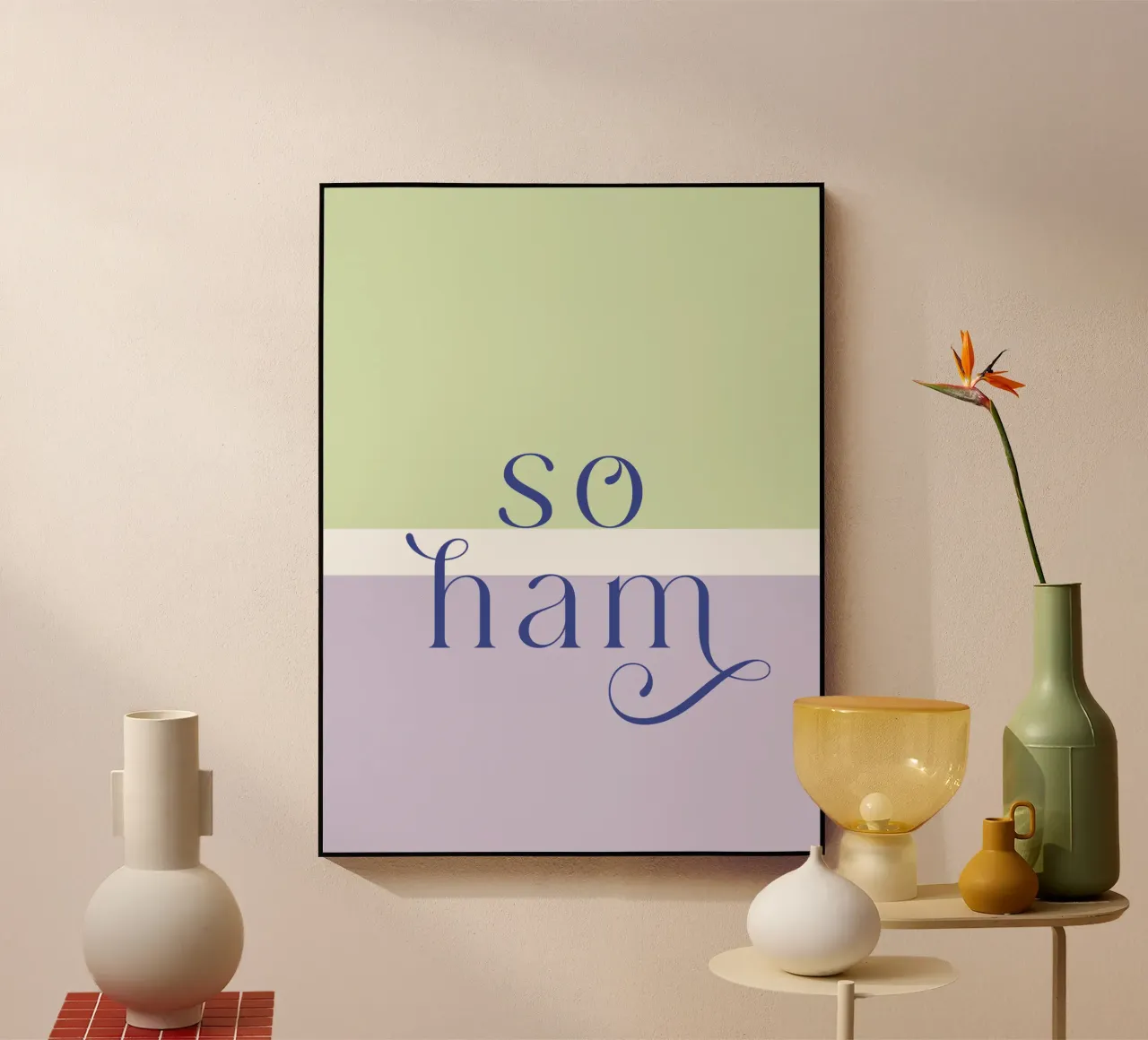 so ham plexiglass da mymia