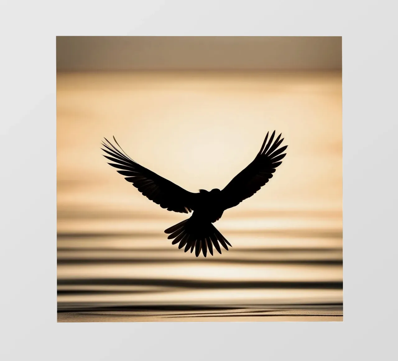 Le ali della libertà pellicola backlit da PhotoVibe Decor