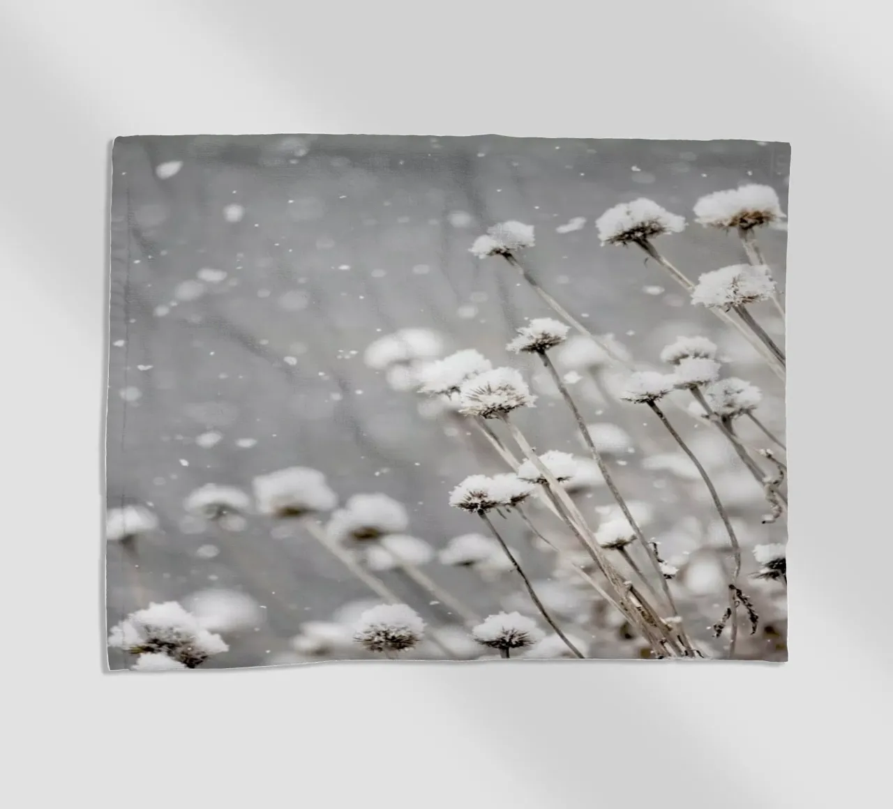 Watching Snow Settle @PixLifePhoto telo mare da EyeEm Mobile GmbH