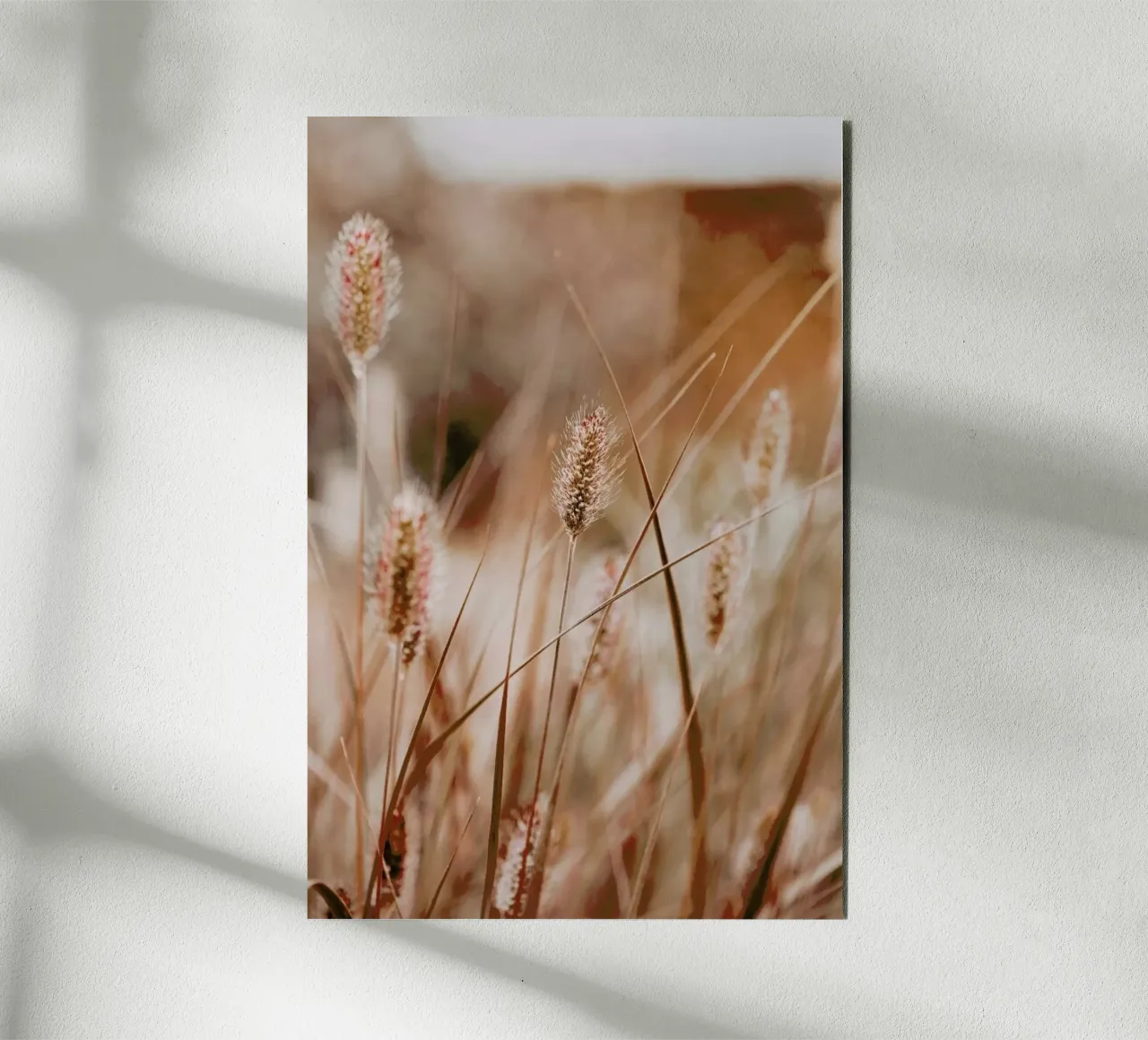 An English Walk alu-dibond by Flora & Fauna