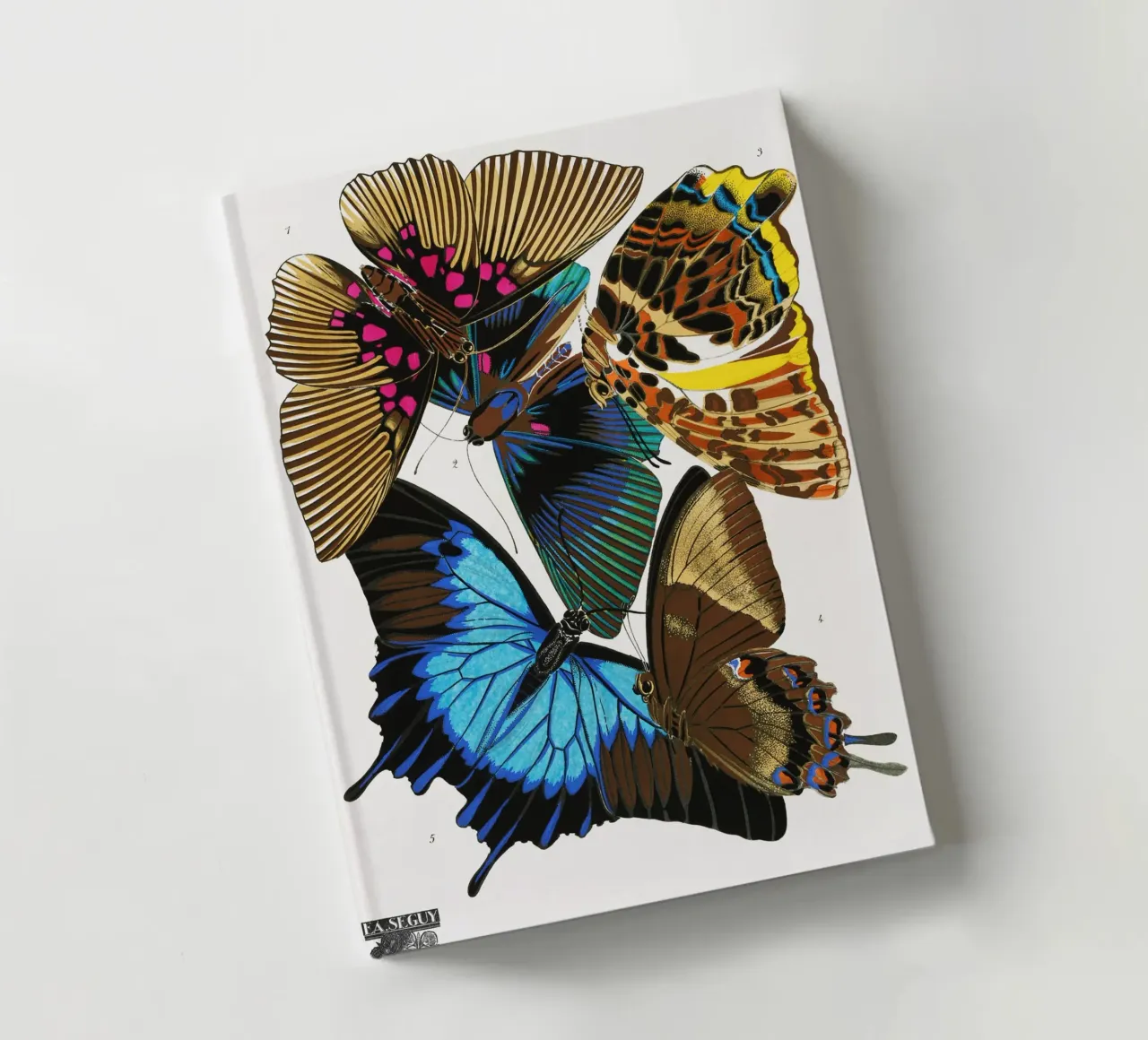 Papillons et papillons de nuit" de E.A. Séguy - Art Deco Nature Print carnet de notes de NorwesClub