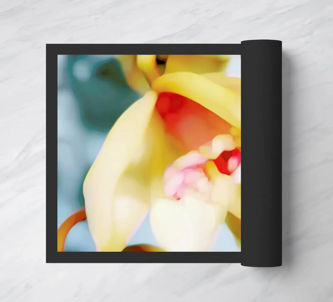 Orchids 14 zerbino da Angelo Cerantola