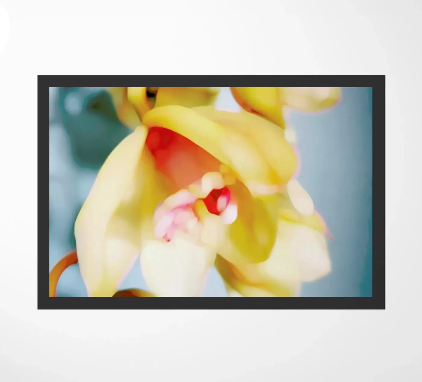 Orchids 14 zerbino da Angelo Cerantola