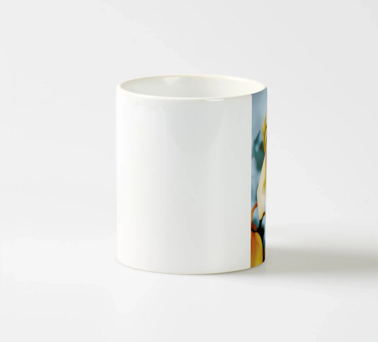 Orchids 14 tazza in ceramica da Angelo Cerantola