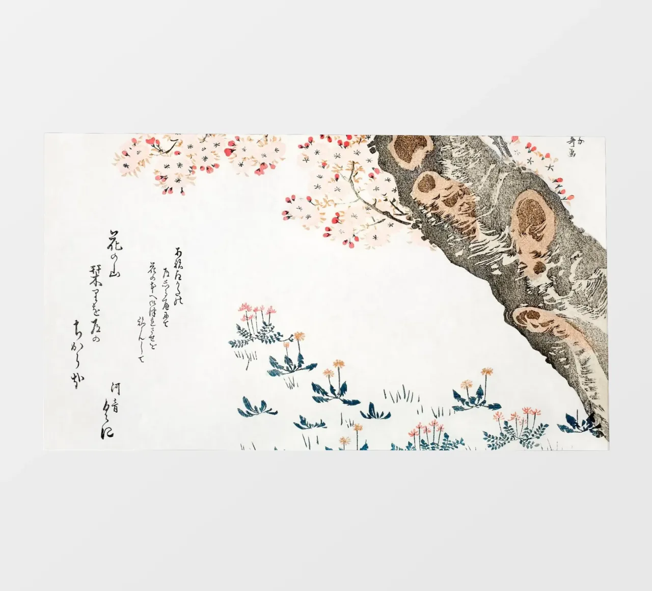 Hokusai: Albero dei ciliegi in fiore e fiori selvatici - Sereno Ukiyo-e pellicola backlit da NorwesClub