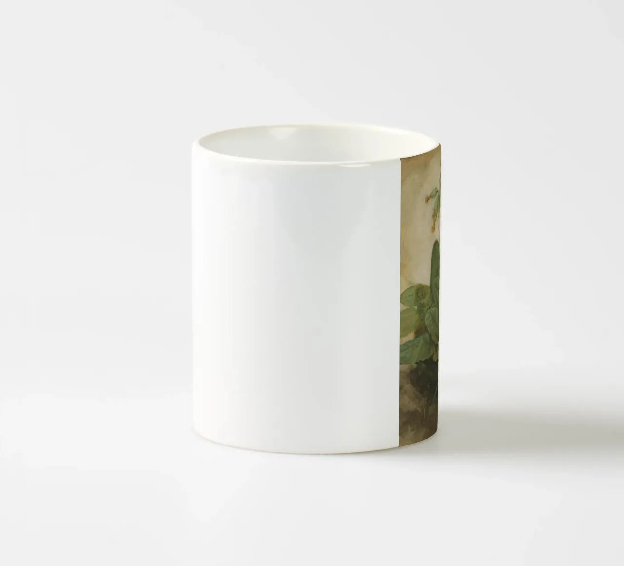 Il "Ciuffo di foglie di mucca" di Dürer - Studio botanico rinascimentale tazza in ceramica da NorwesClub