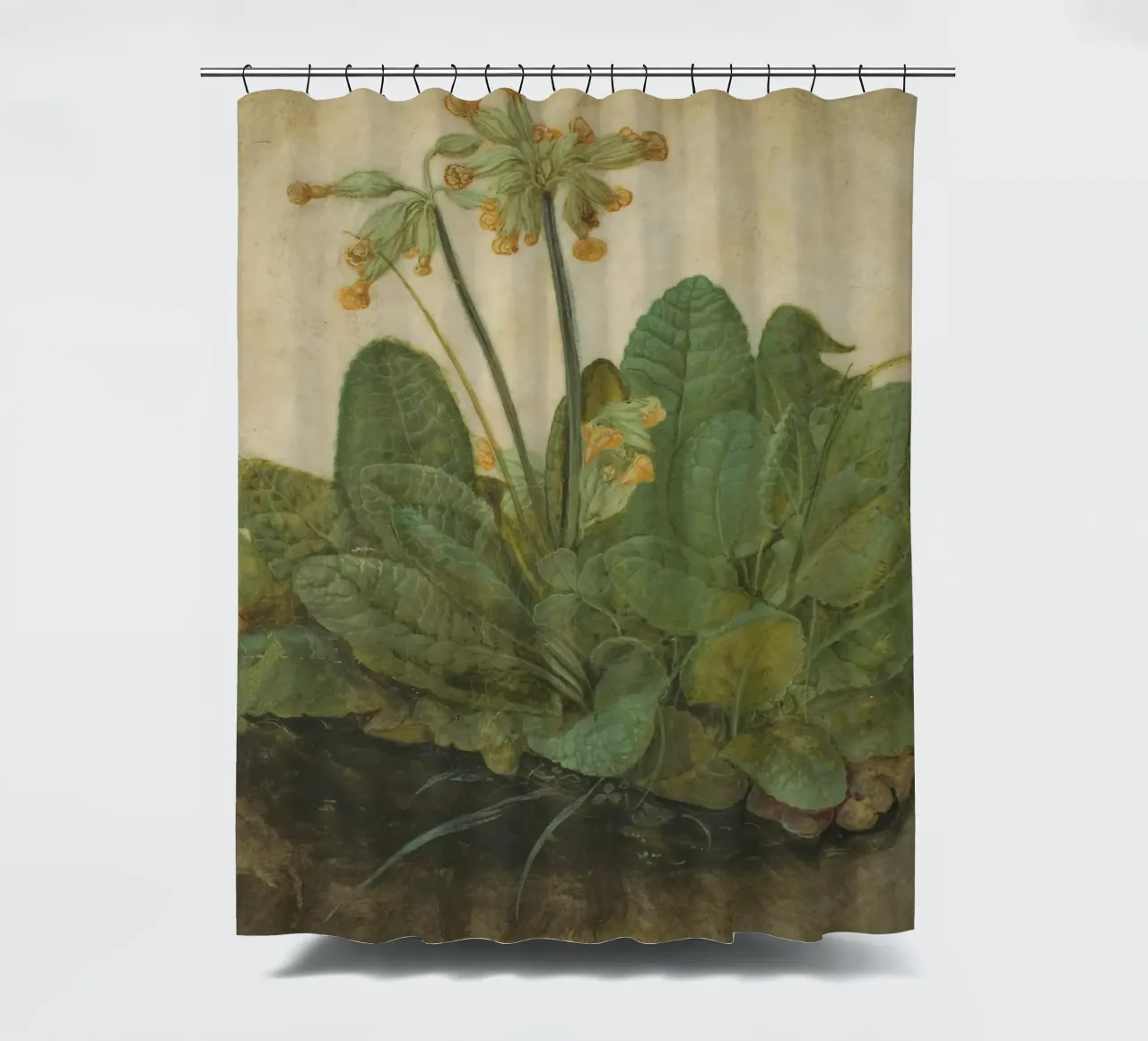 Il "Ciuffo di foglie di mucca" di Dürer - Studio botanico rinascimentale tenda da doccia da NorwesClub