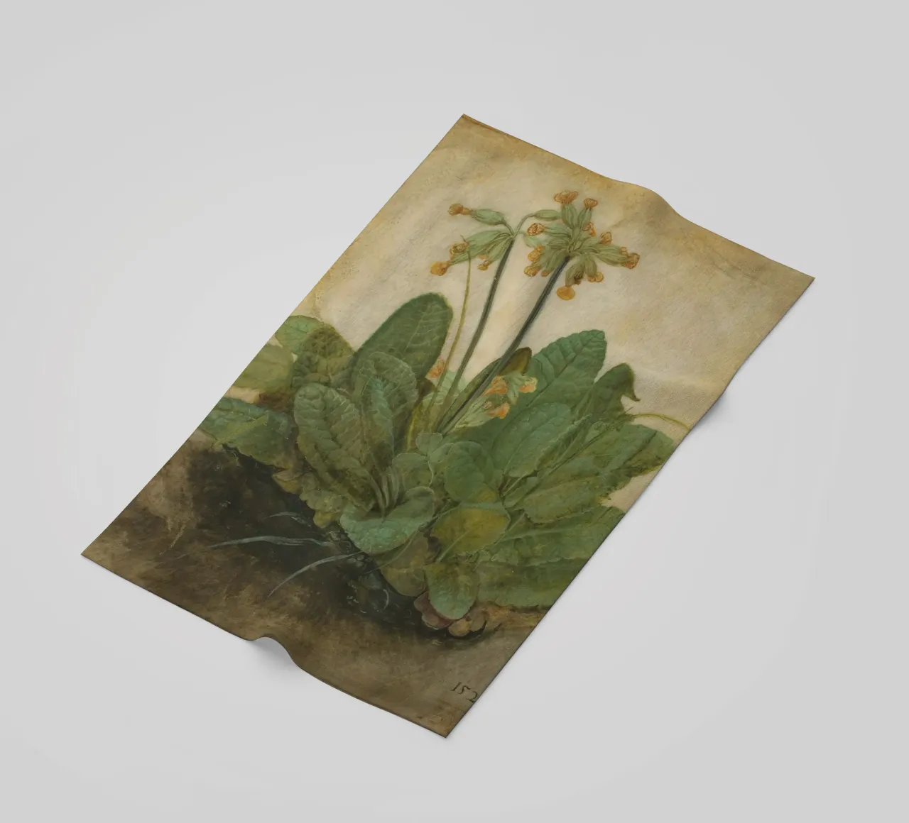 Il "Ciuffo di foglie di mucca" di Dürer - Studio botanico rinascimentale telo mare da NorwesClub