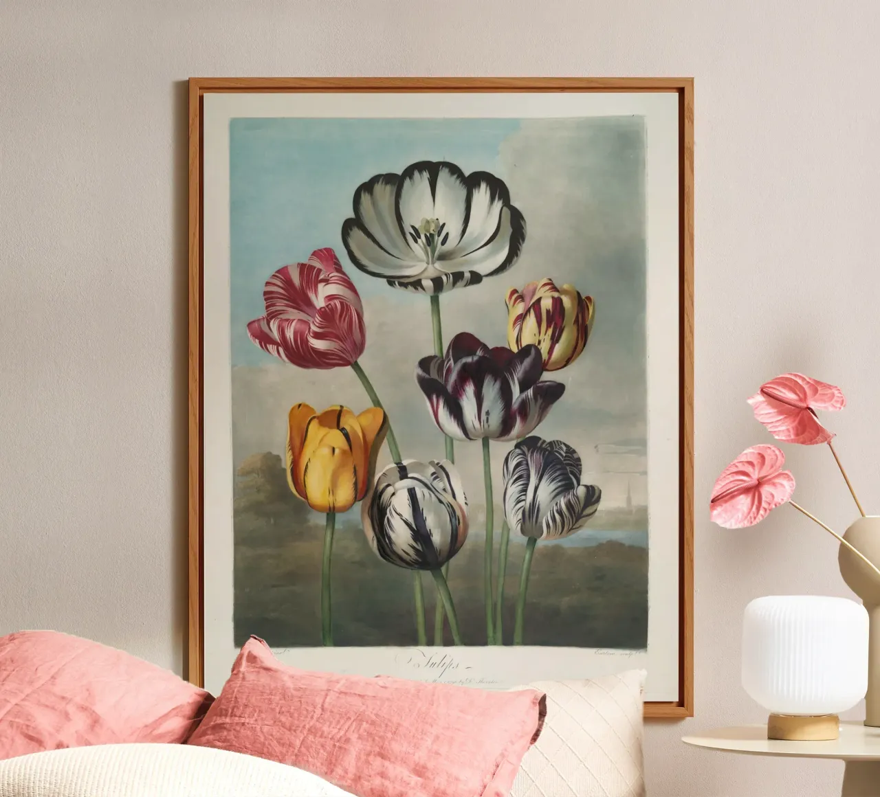 Robert John Thornton: Tulipani vibranti - Maschera botanica d'epoca alluminio dibond da NorwesClub