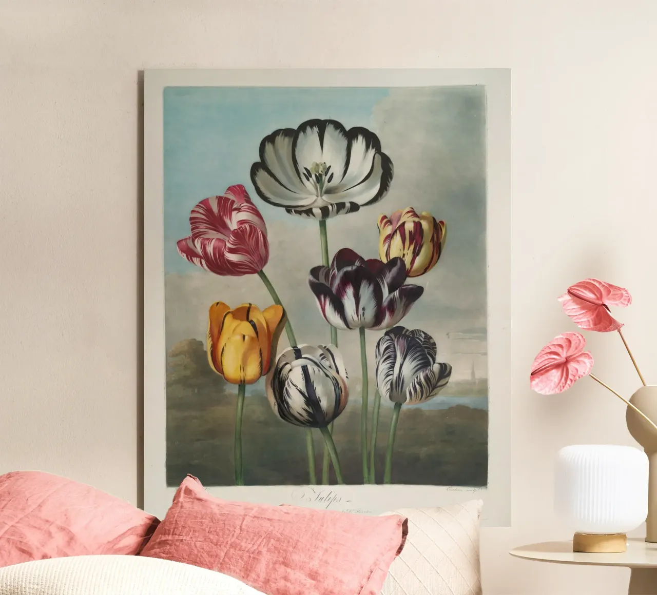 Robert John Thornton: Tulipani vibranti - Maschera botanica d'epoca alluminio dibond da NorwesClub