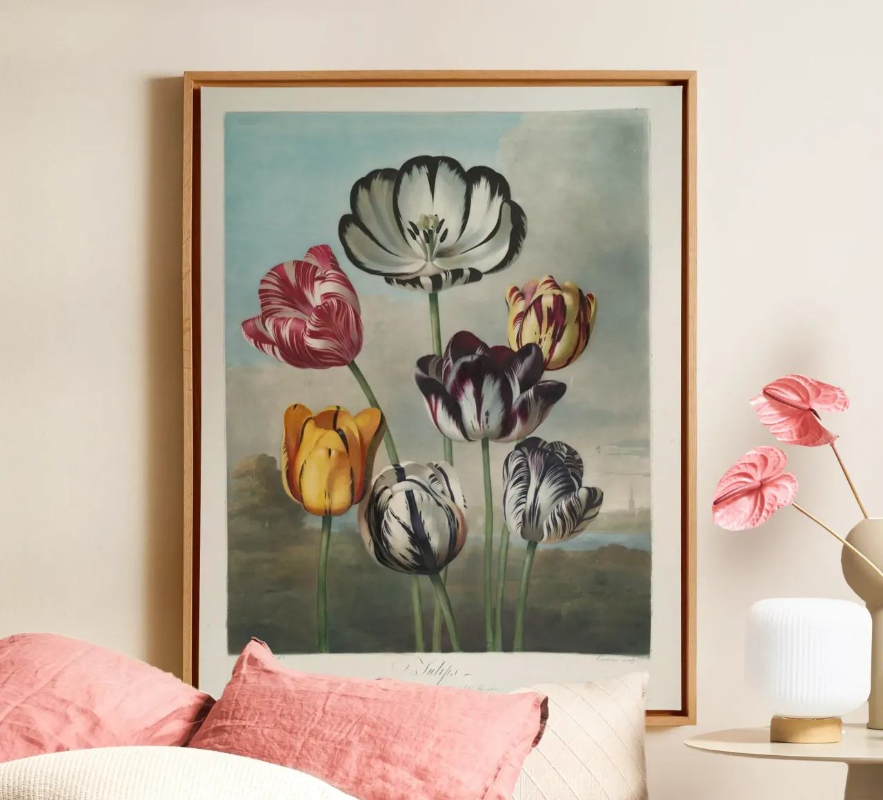 Robert John Thornton: Tulipani vibranti - Maschera botanica d'epoca tela con Cornice a cassetta da NorwesClub