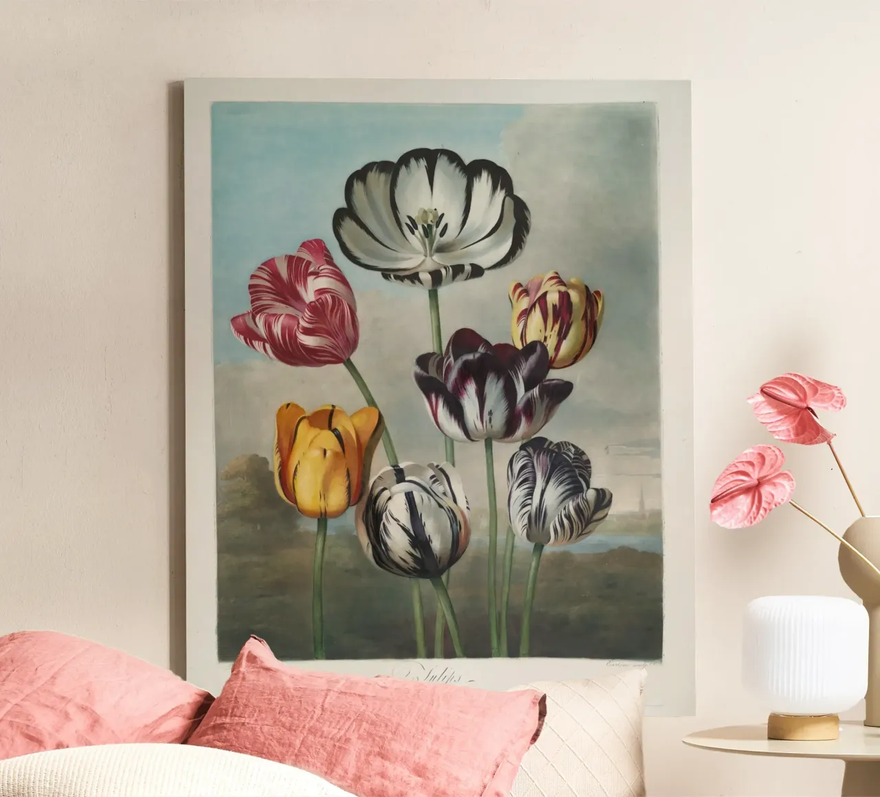 Robert John Thornton: Tulipani vibranti - Maschera botanica d'epoca tela con Cornice a cassetta da NorwesClub