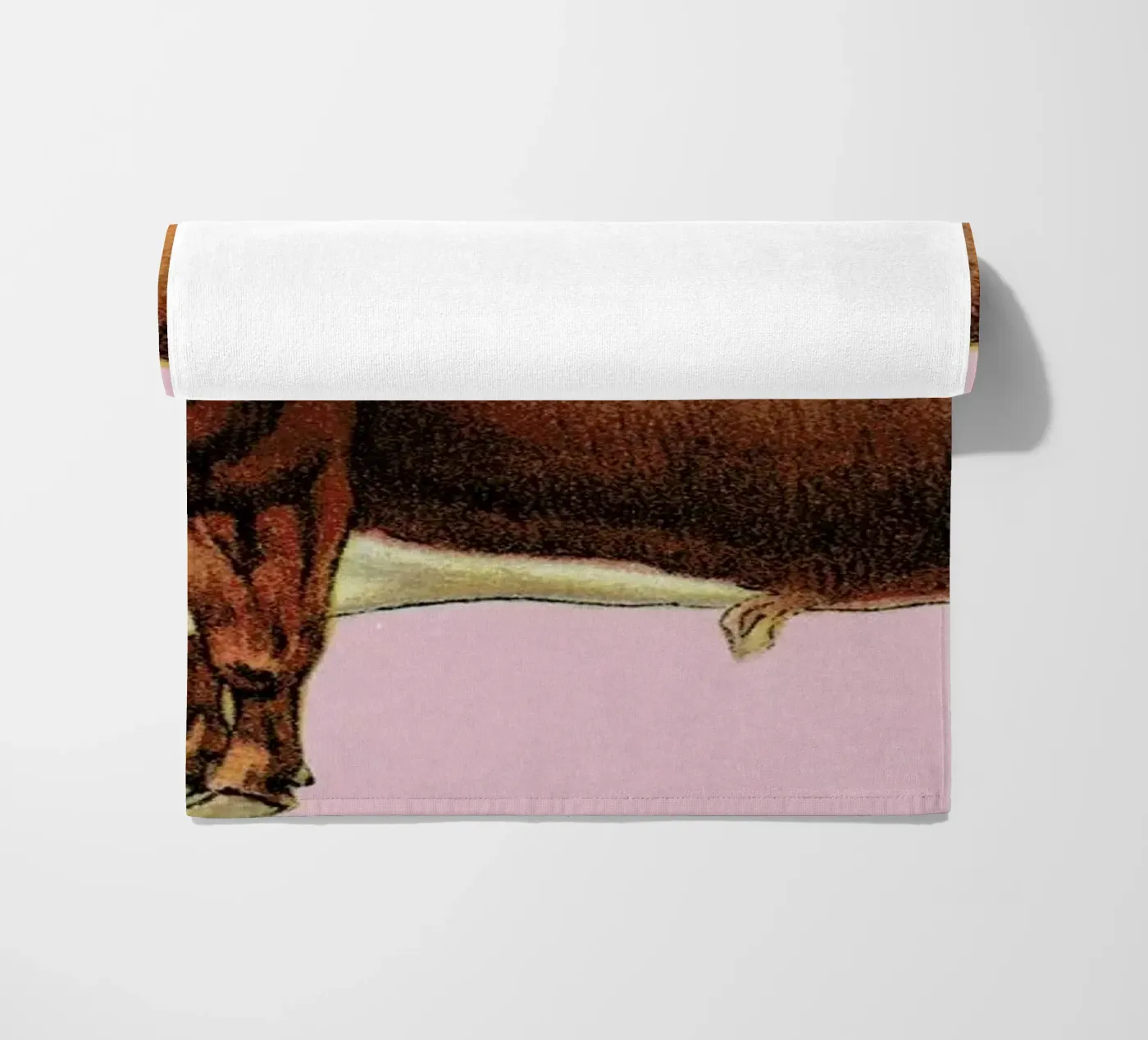 Bessie telo mare da Flora & Fauna