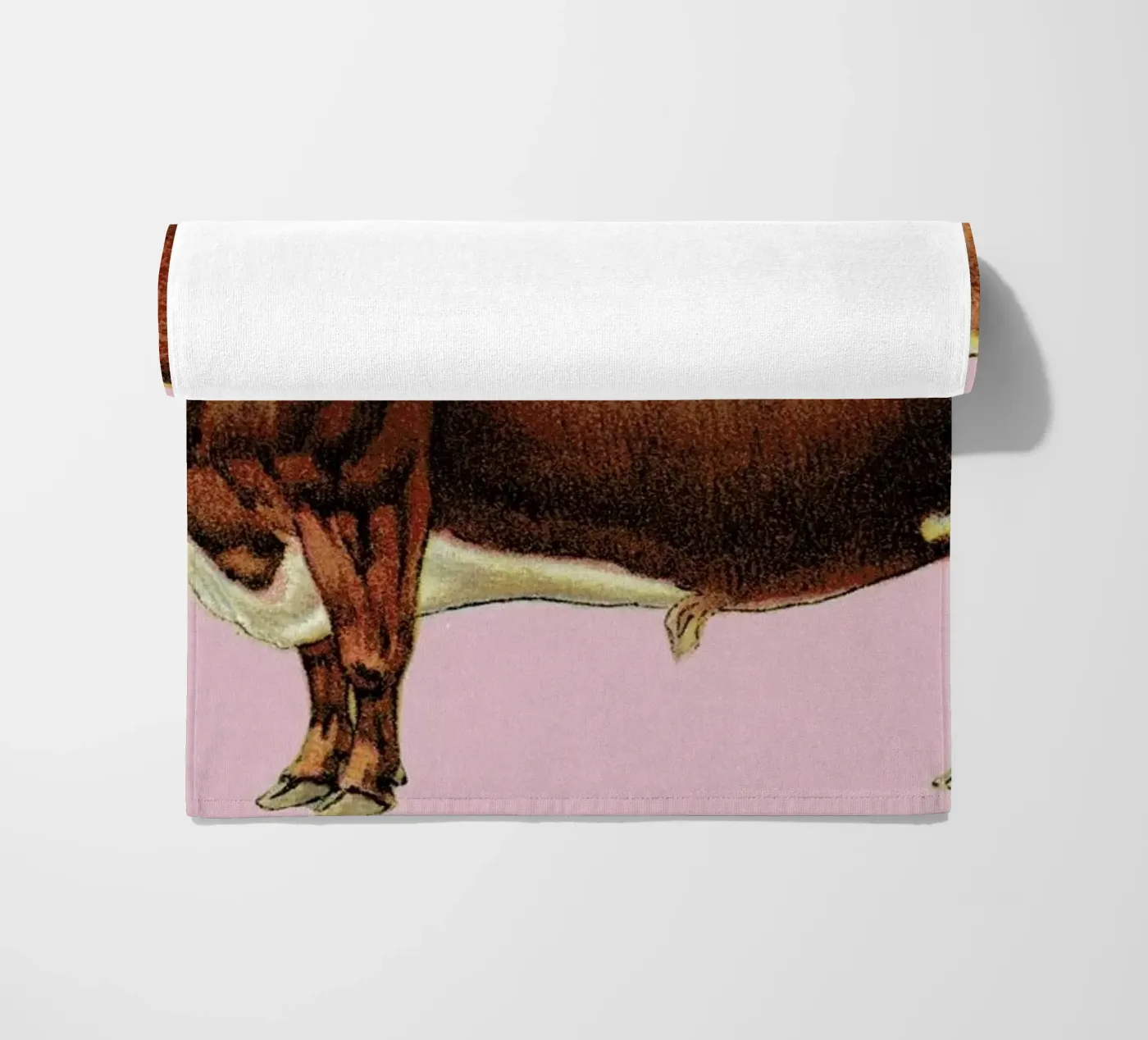 Bessie telo mare da Flora & Fauna